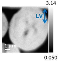 Applsci 10 04836 i010