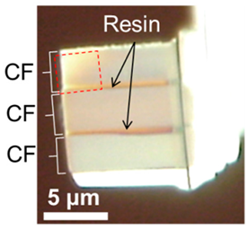 Applsci 10 04836 i011