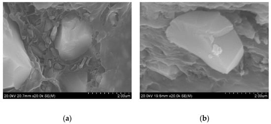 Applsci 10 04851 g003 550