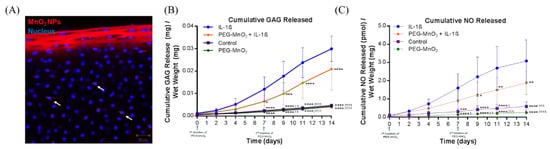 Applsci 10 04851 g018 550