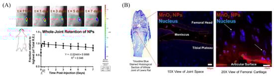 Applsci 10 04851 g019 550