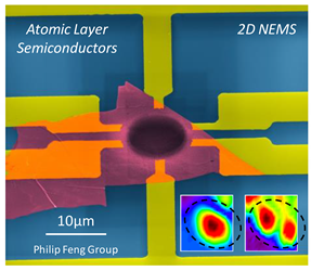 Applsci 10 04851 i001