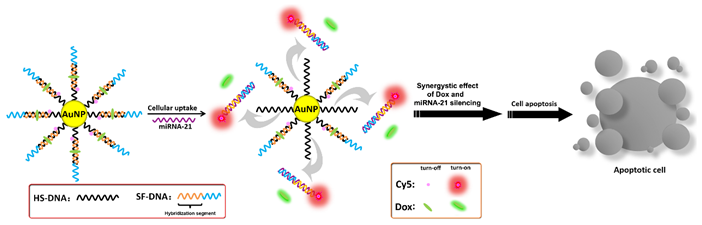 Applsci 10 04851 i004