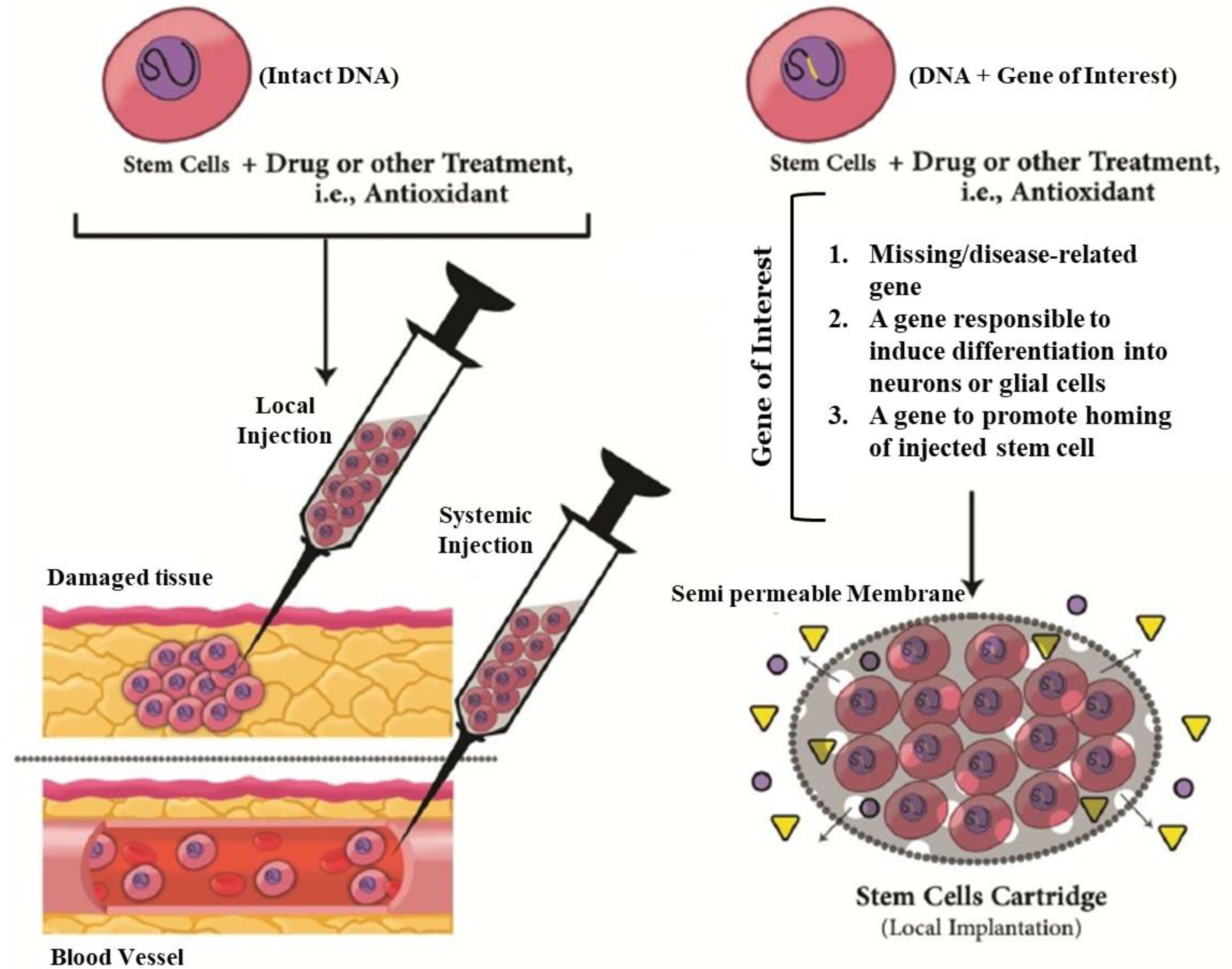 Applsci 10 04852 g002