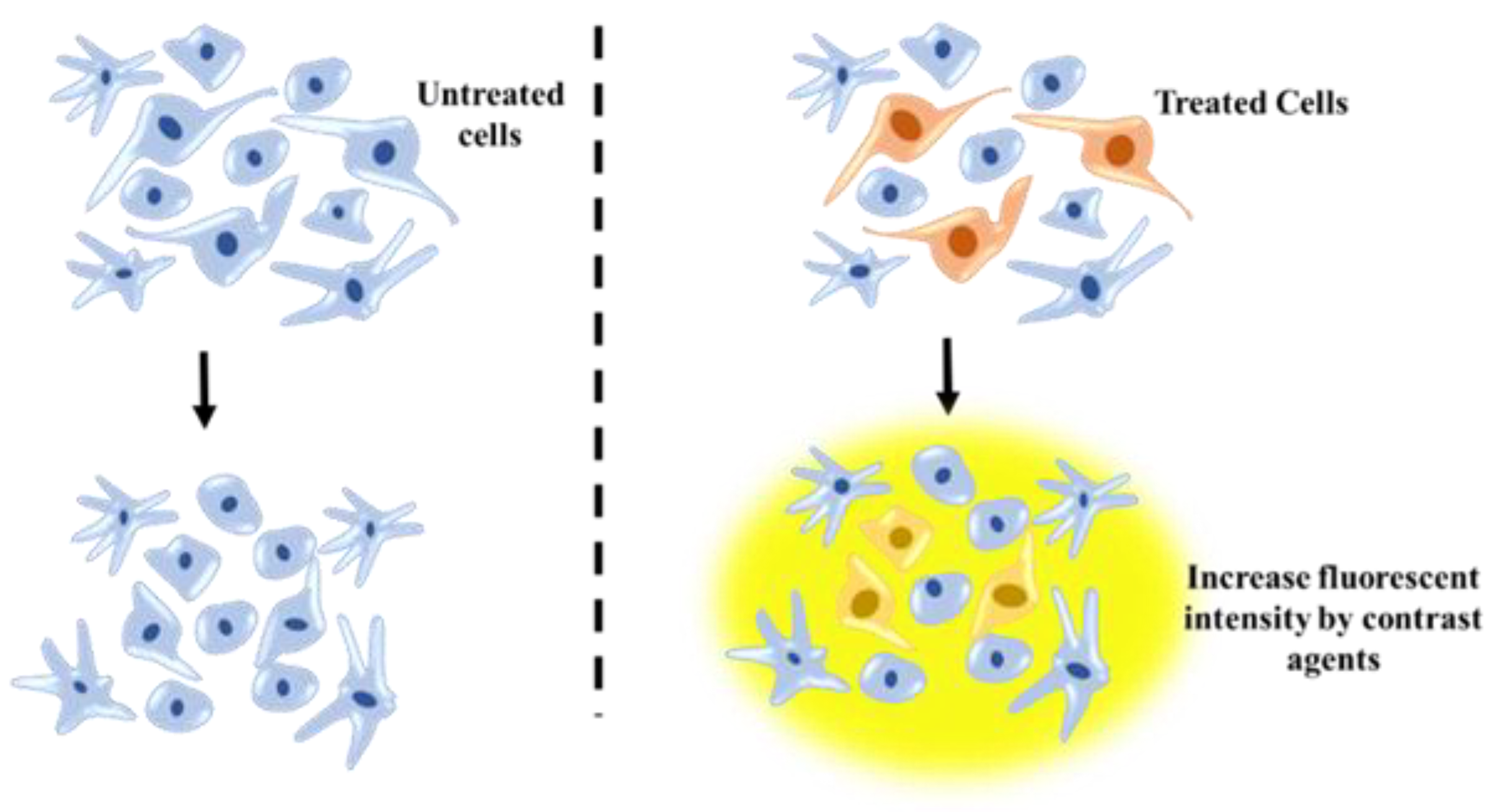 Applsci 10 04852 g007