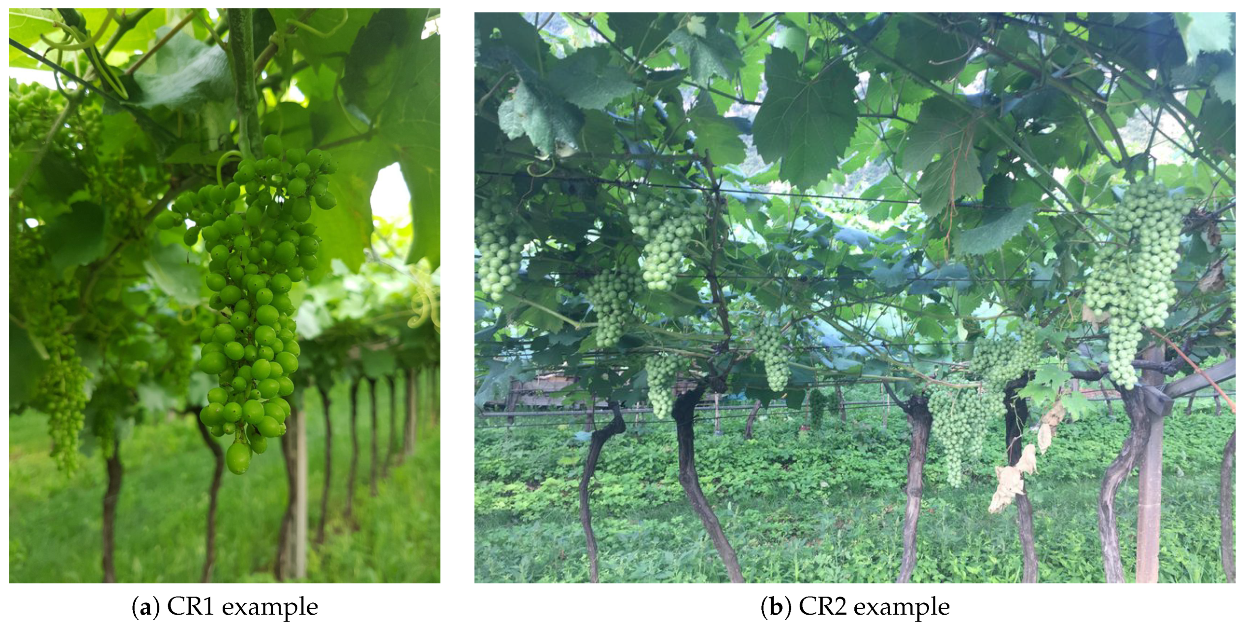 Applsci 10 04870 g003