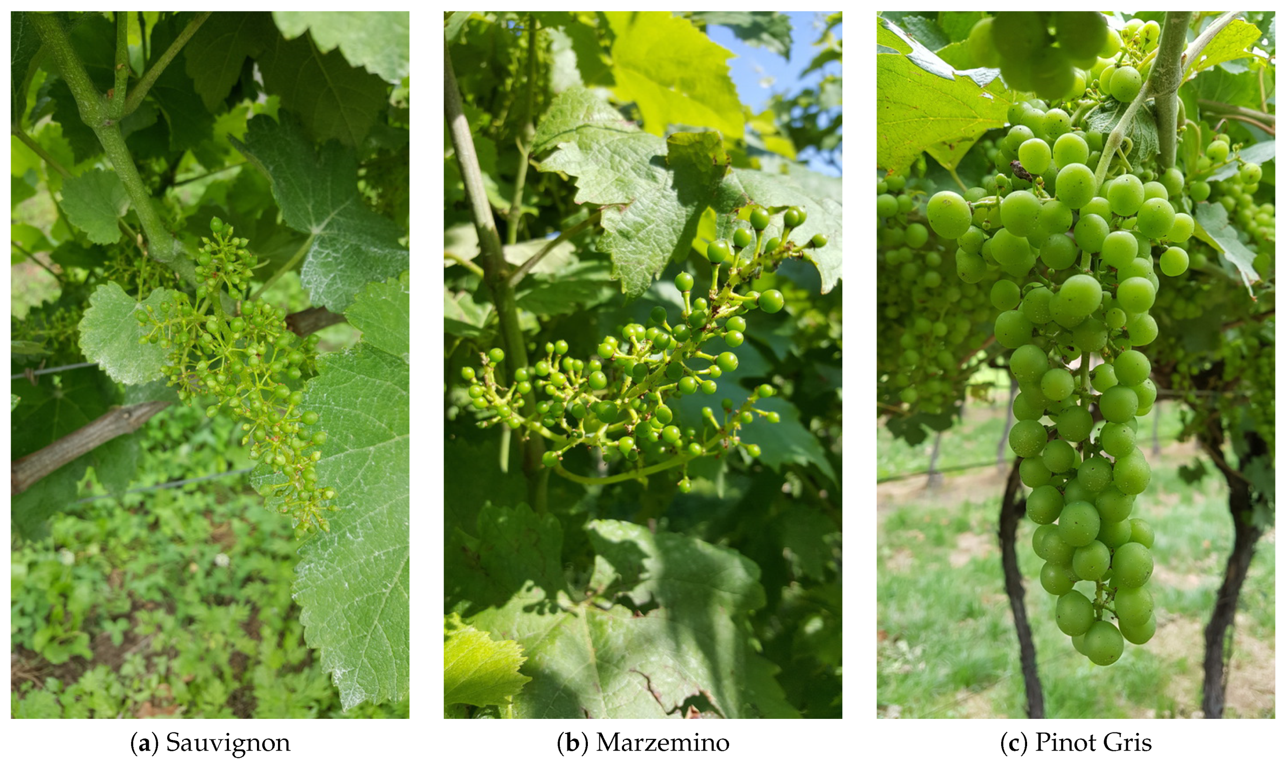 Applsci 10 04870 g006