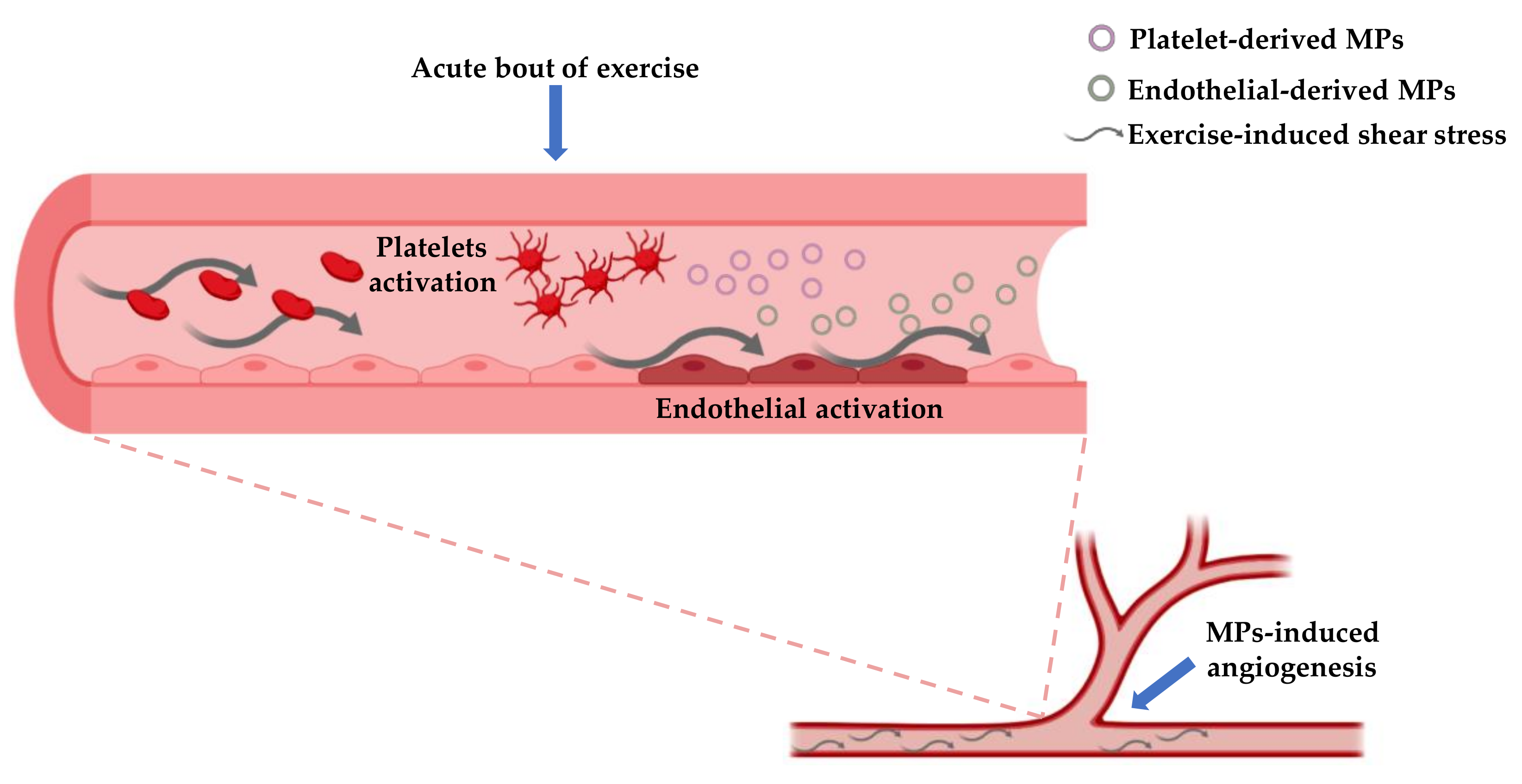 Applsci 10 04871 g002