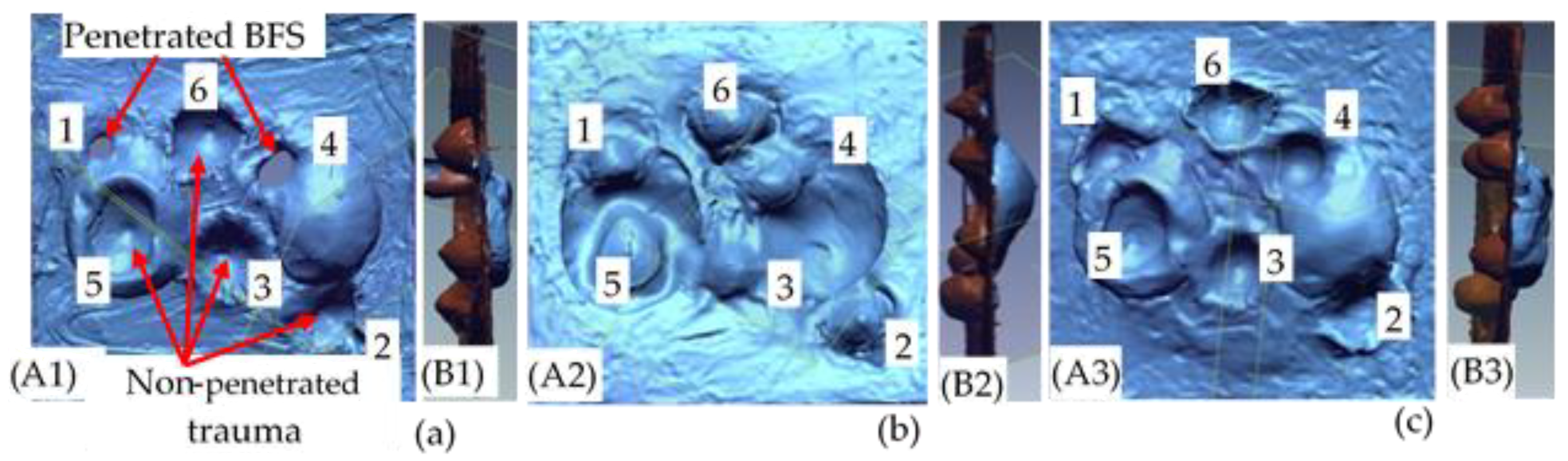 Applsci 10 04873 g007