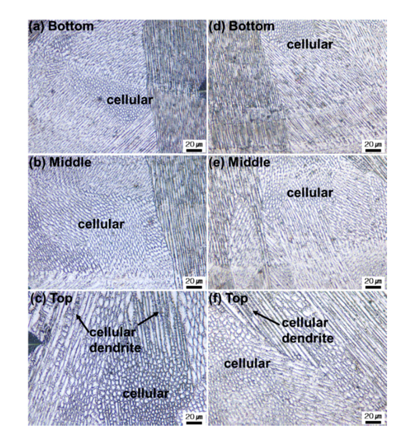 Applsci 10 04874 g006 Applsci 10 04874 g006