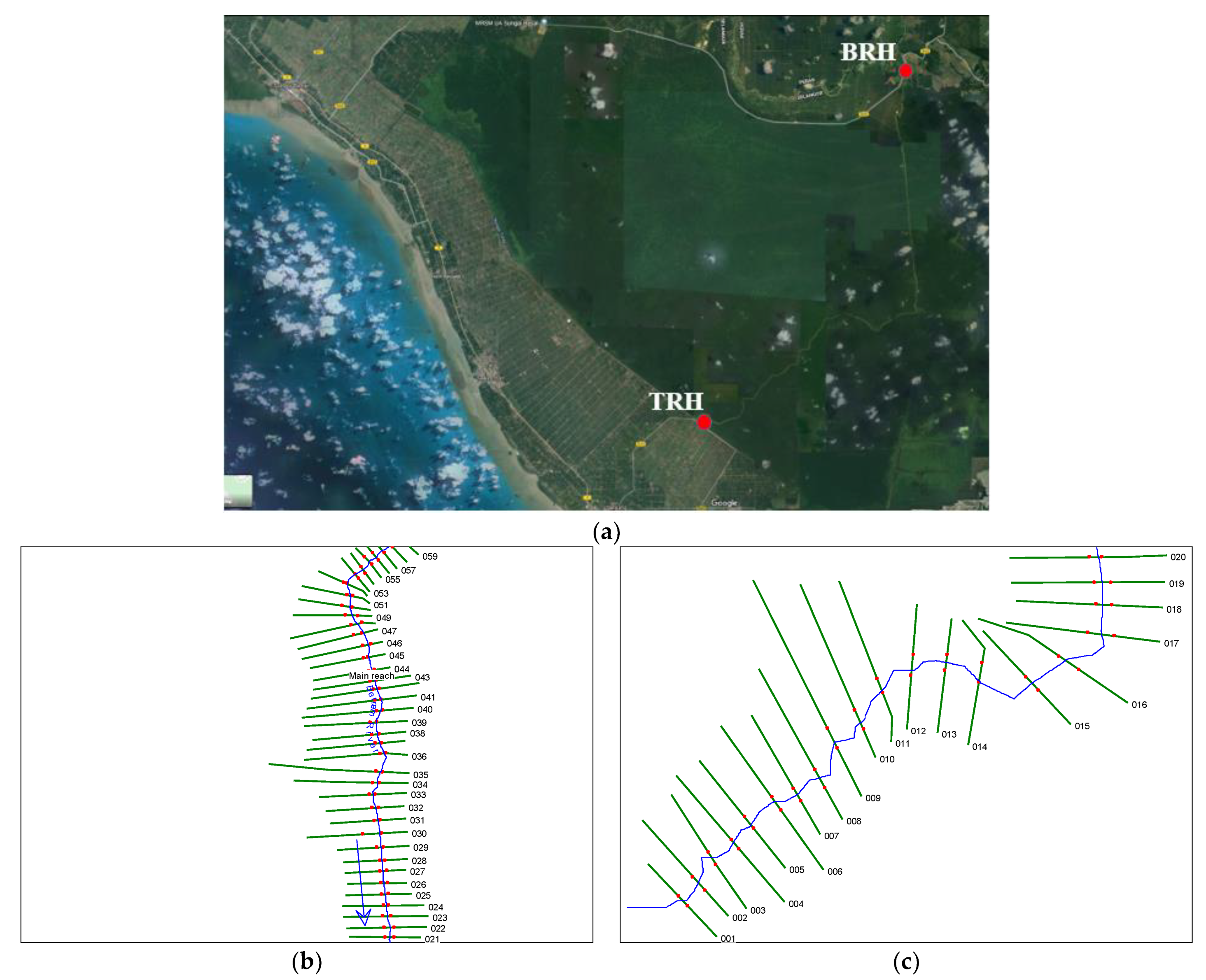 Applsci 10 04885 g008