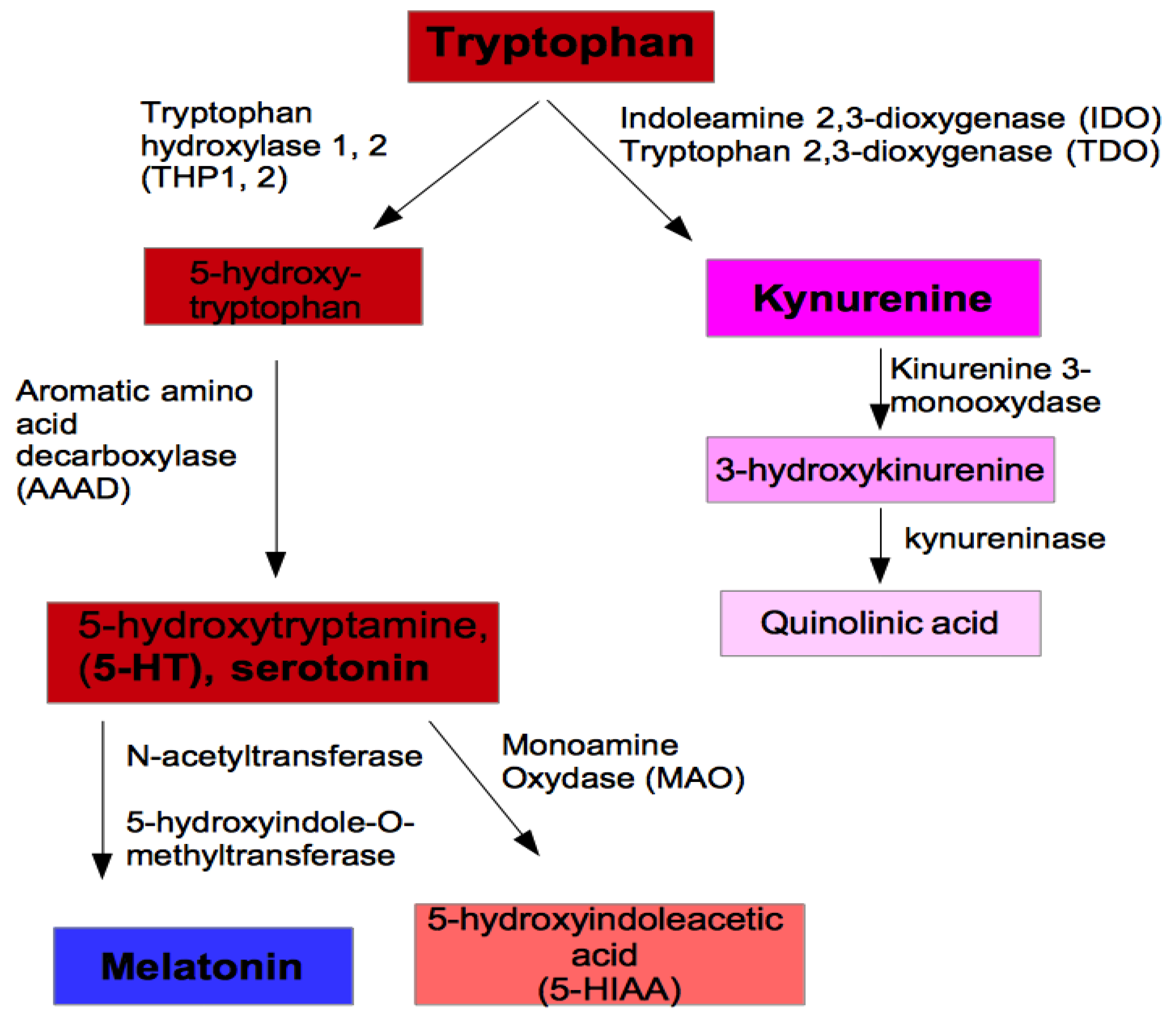 Applsci 10 04933 g001