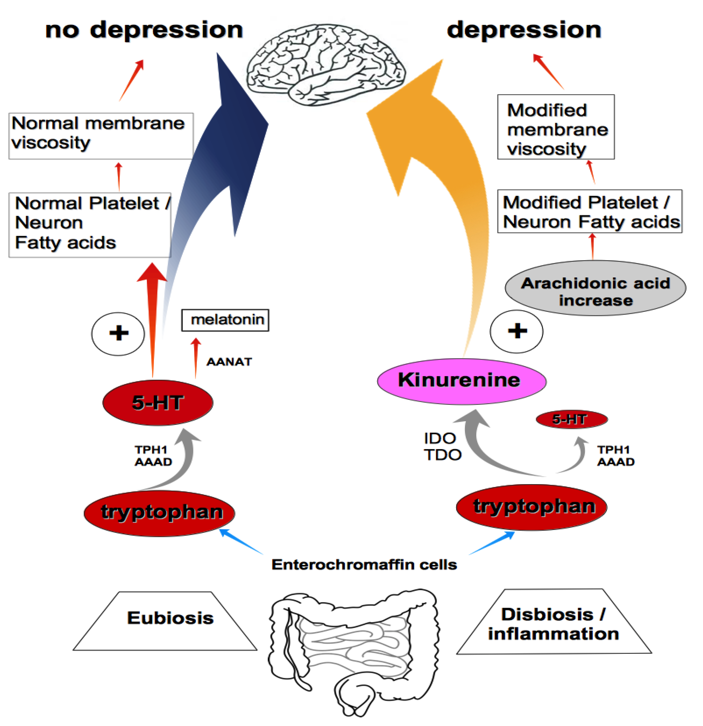 Applsci 10 04933 g002