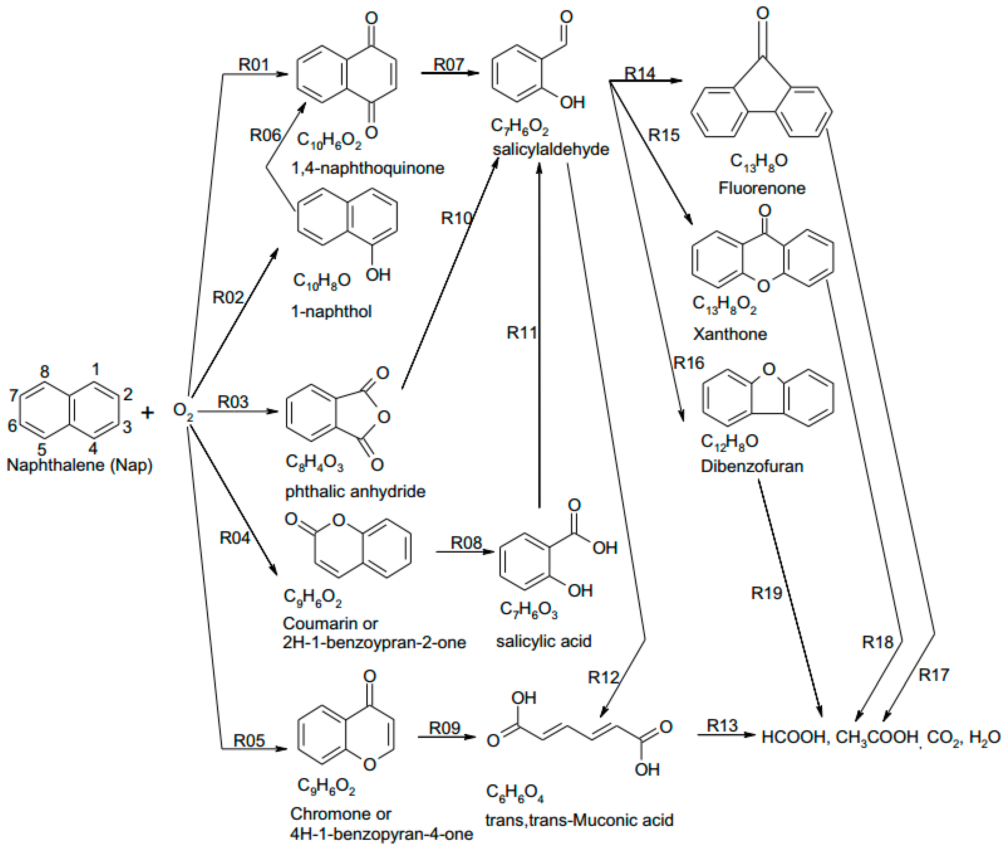Applsci 10 04937 g007