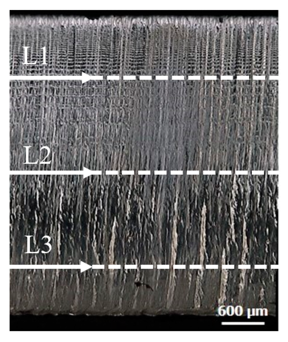 Applsci 10 04956 g004