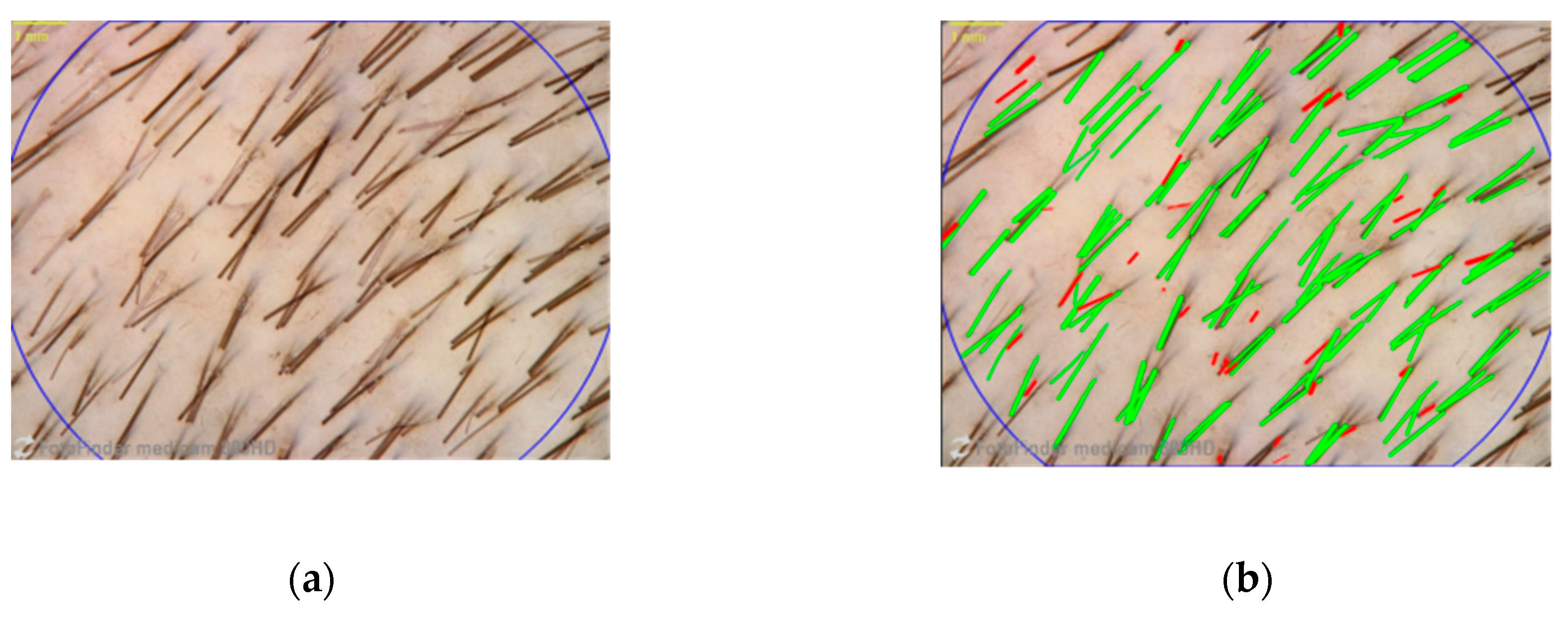 Applsci 10 04996 g001