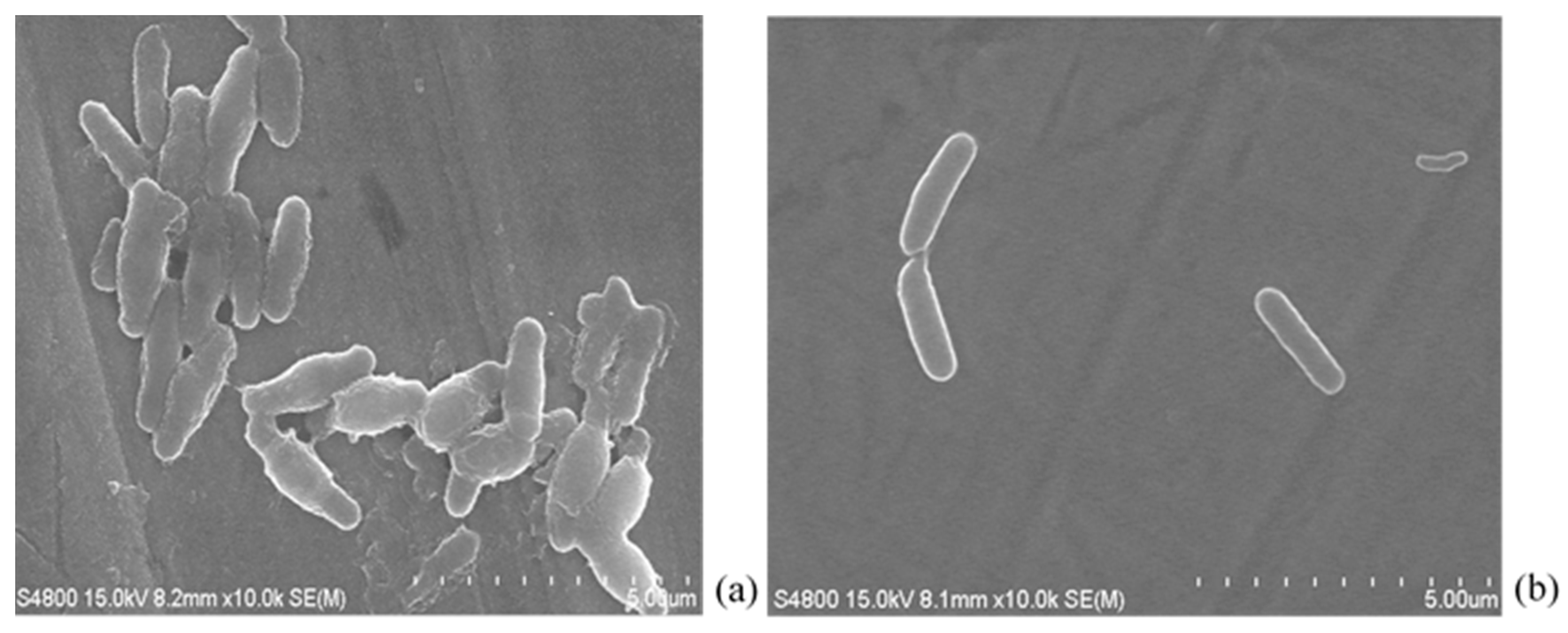 Applsci 10 05001 g006