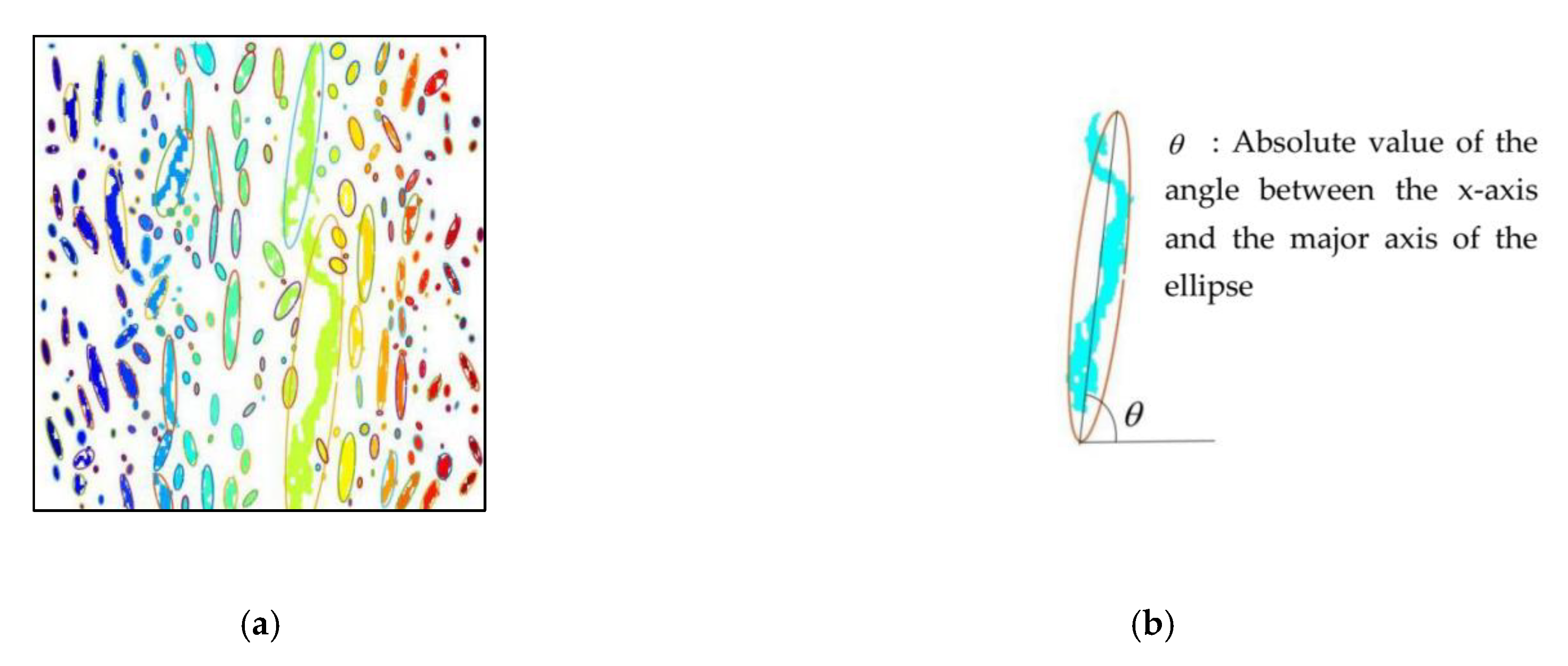 Applsci 10 05077 g003