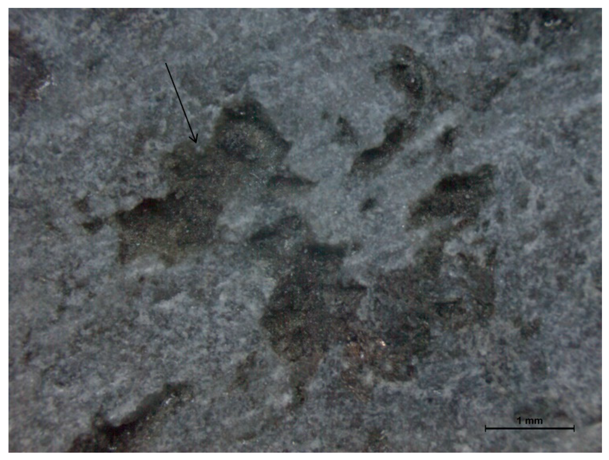 Applsci 10 05083 g003