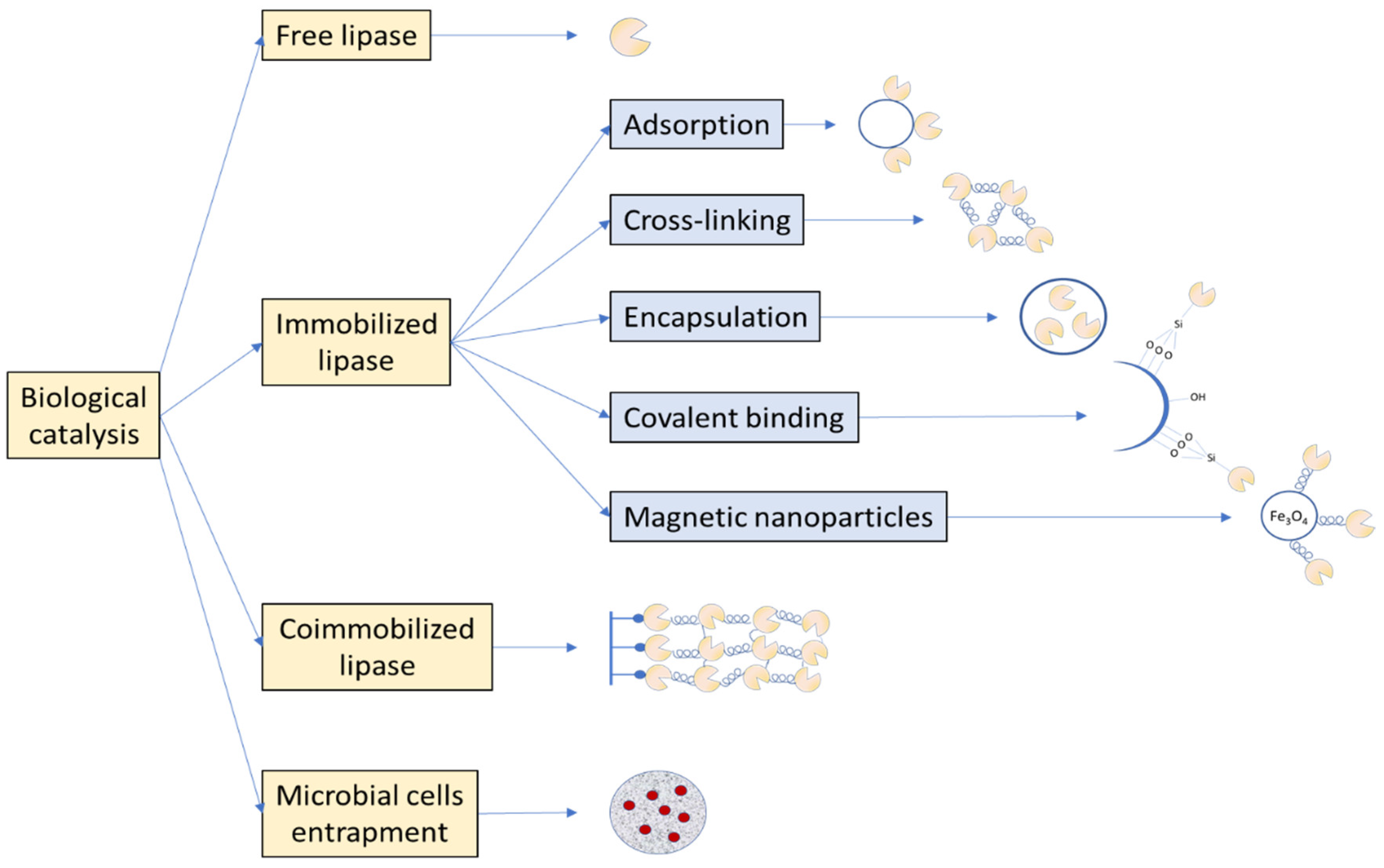 Applsci 10 05085 g002