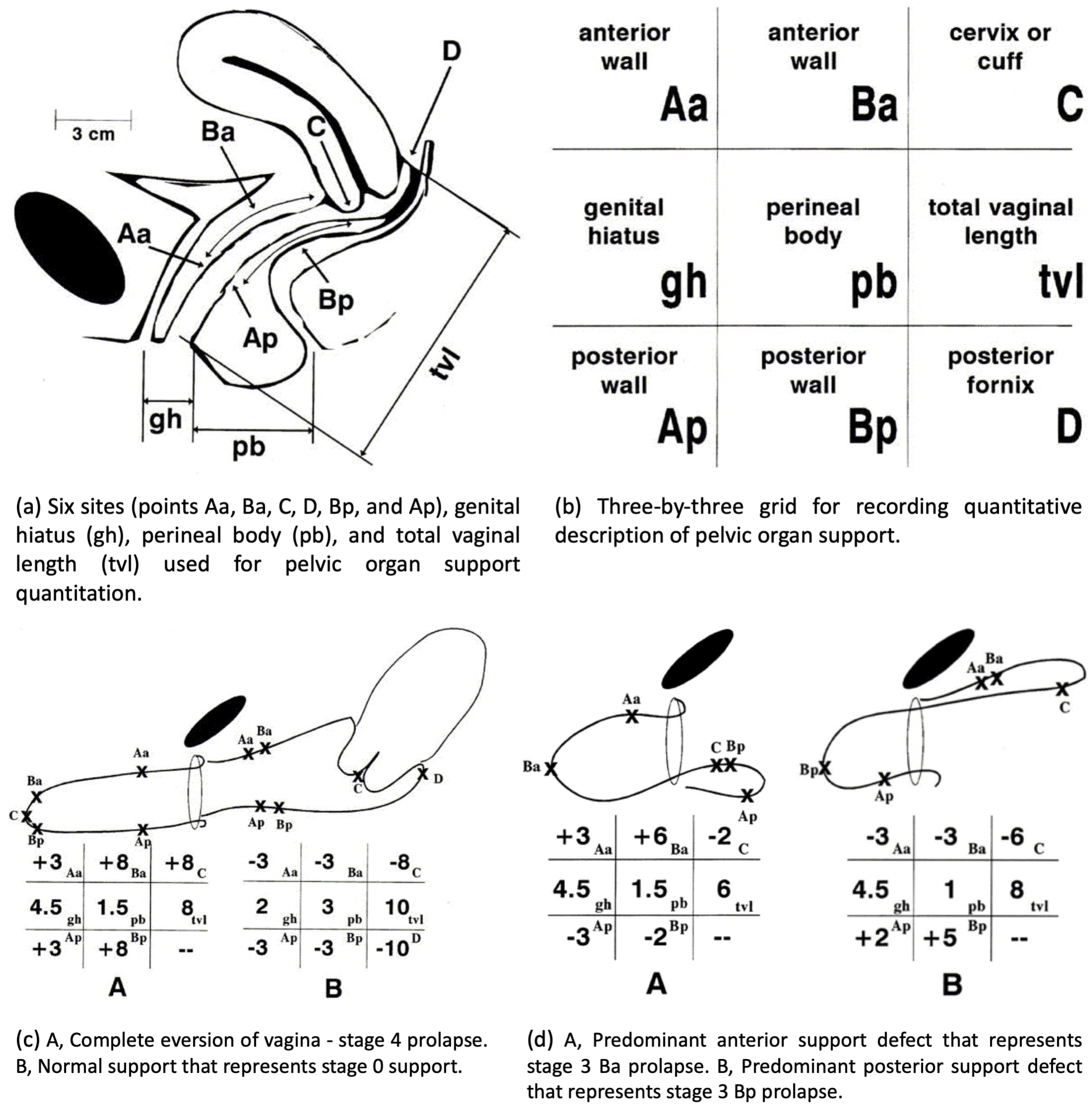 Applsci 10 05108 g010