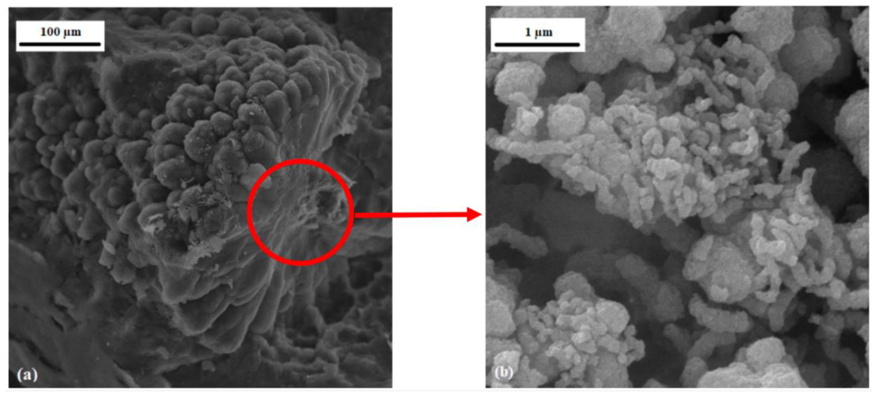 Applsci 10 05117 g003 Applsci 10 05117 g003