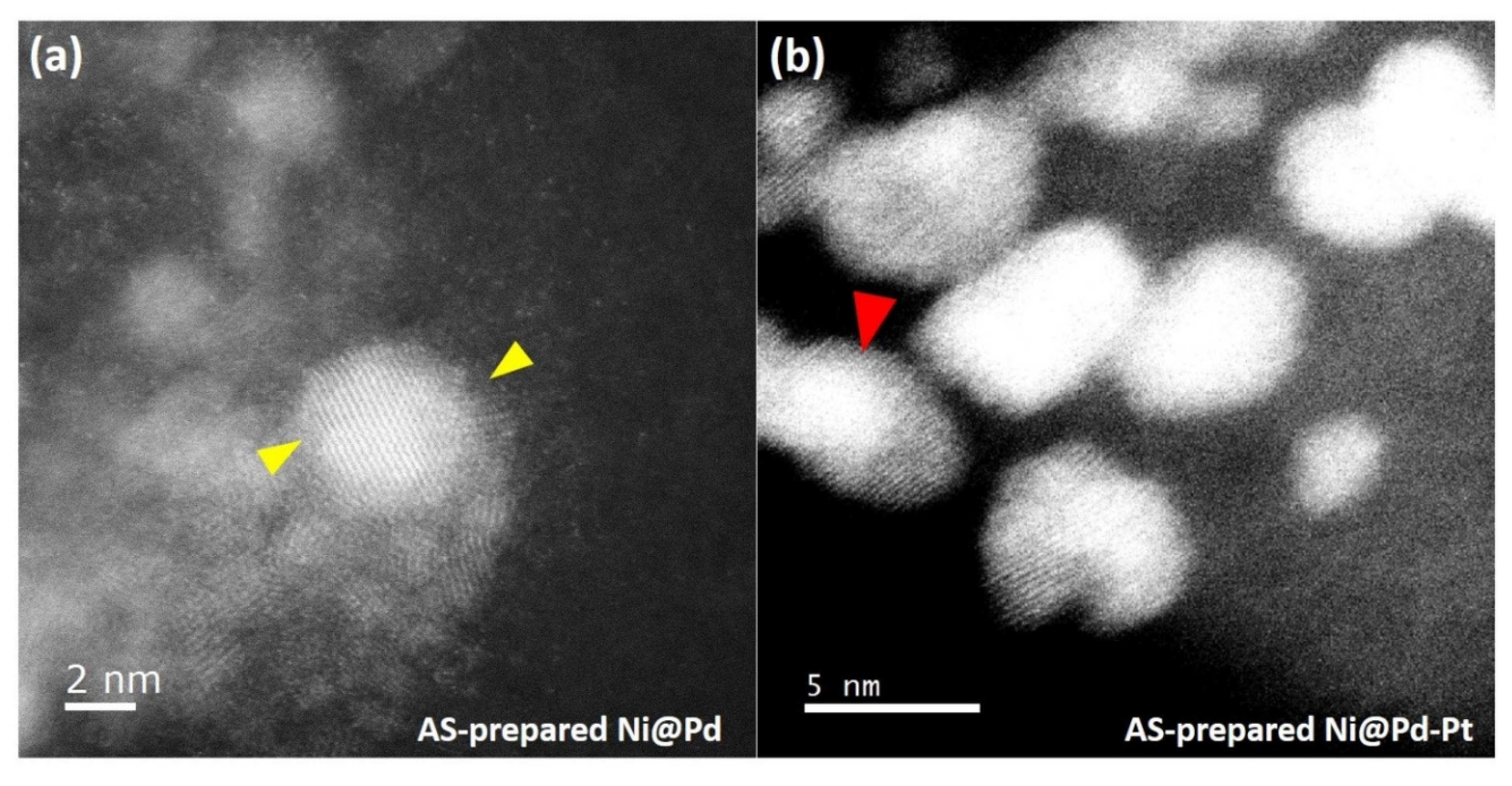 Applsci 10 05155 g001
