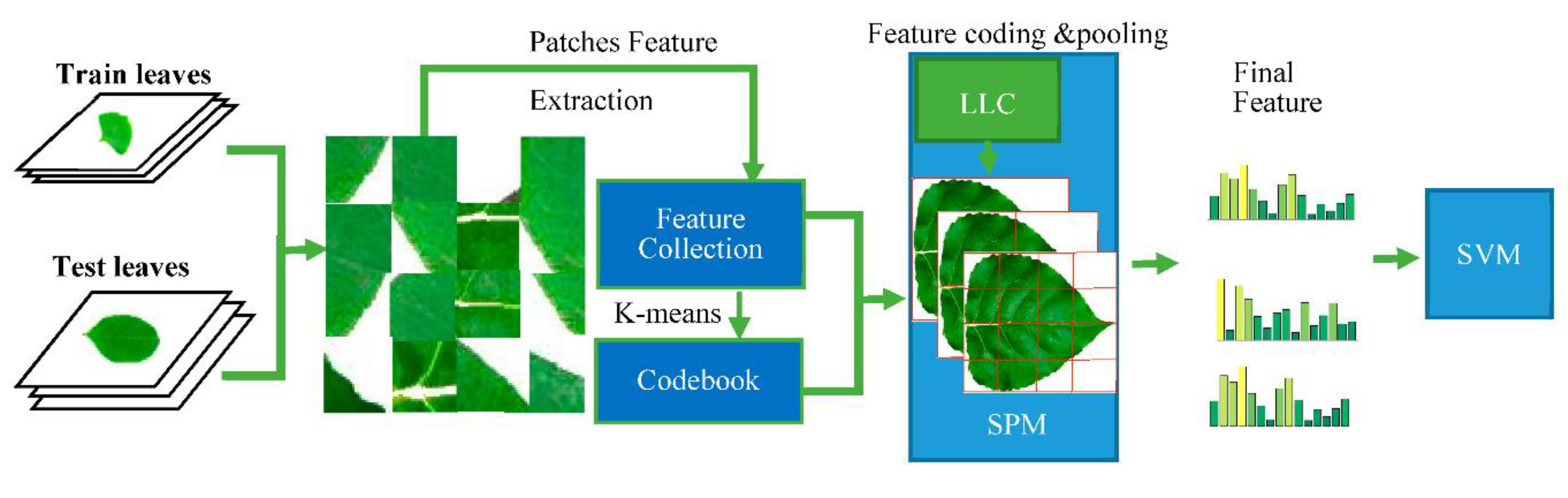 Applsci 10 05177 g002 Applsci 10 05177 g002