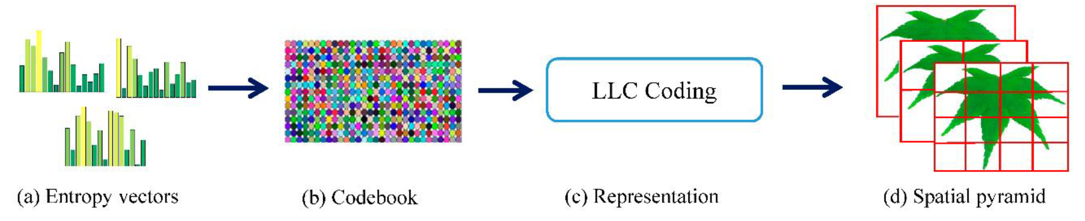 Applsci 10 05177 g005 Applsci 10 05177 g005