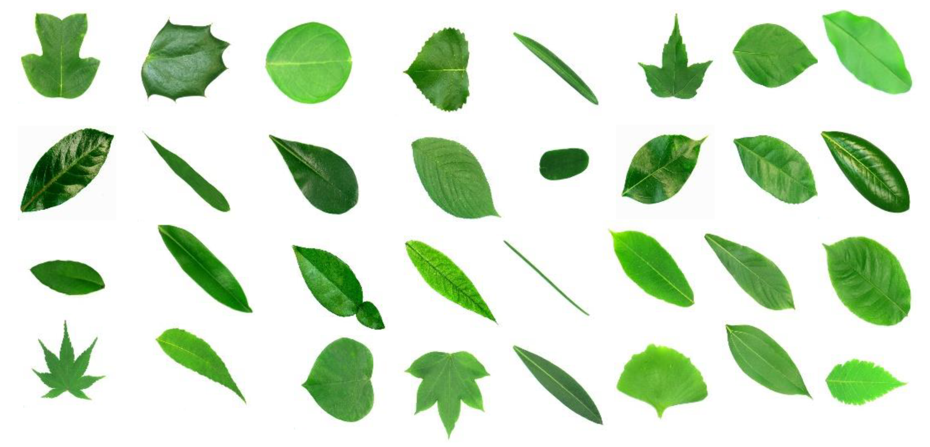 Applsci 10 05177 g007 Applsci 10 05177 g007