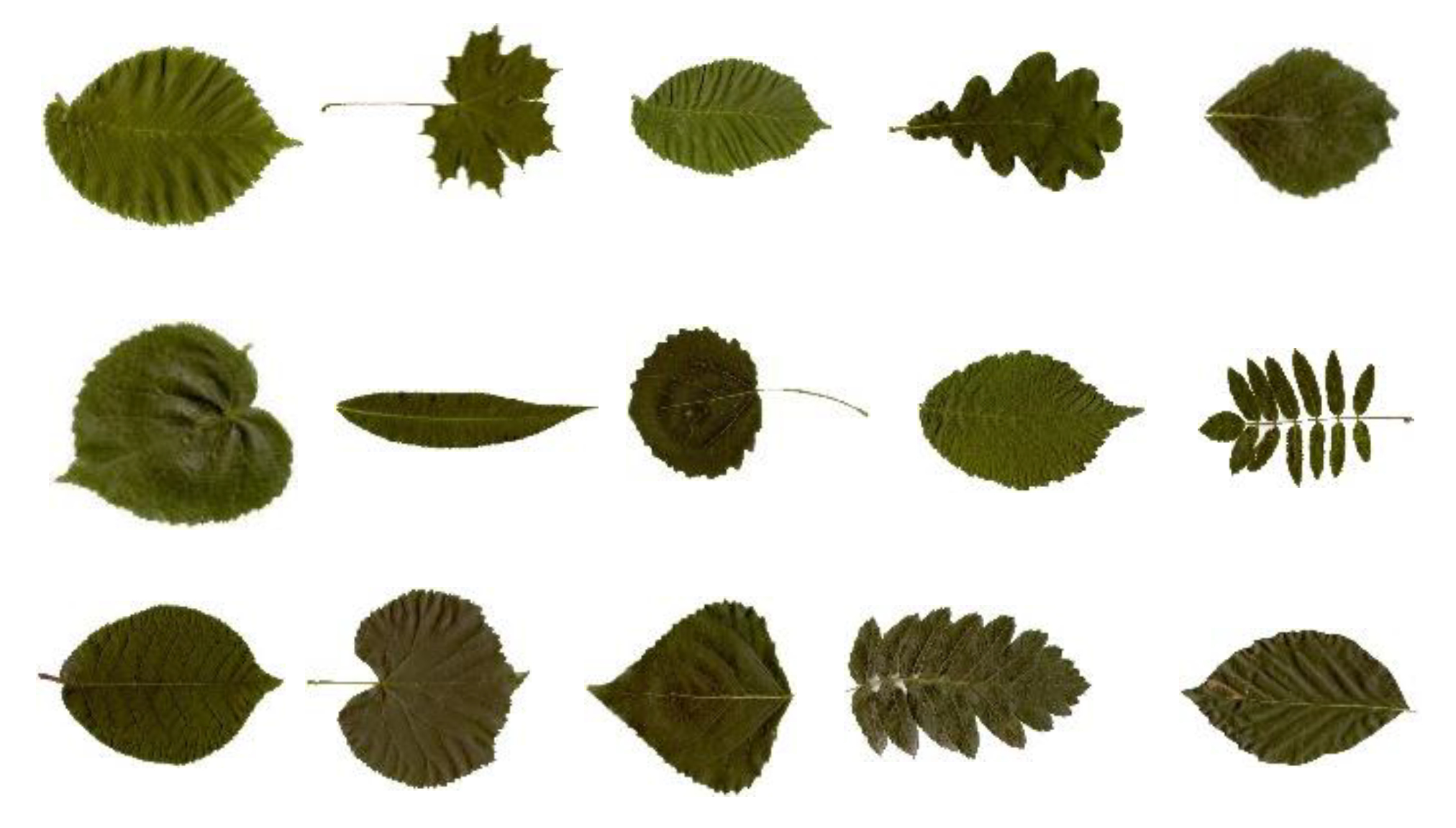 Applsci 10 05177 g009 Applsci 10 05177 g009