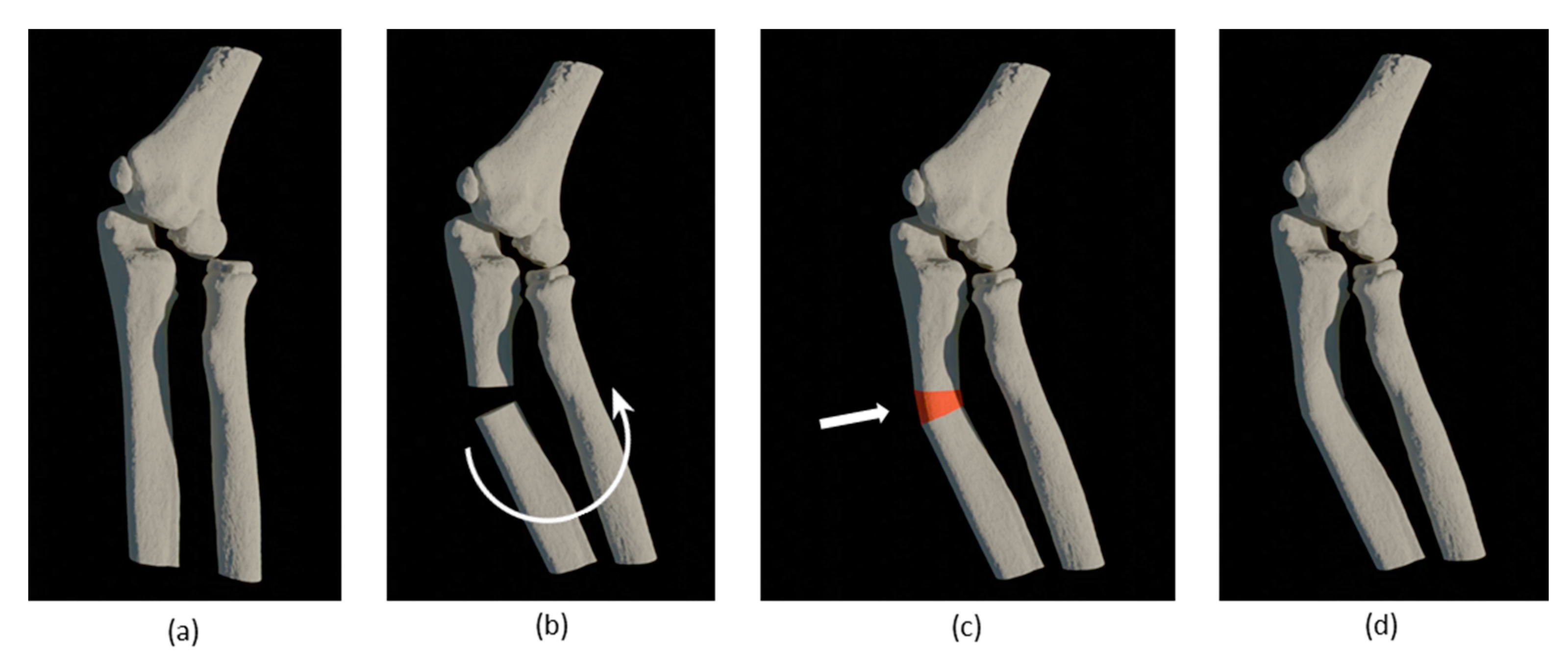 Applsci 10 05181 g002