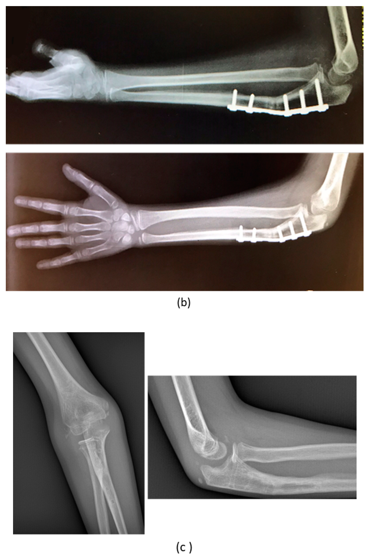 Applsci 10 05181 g007b