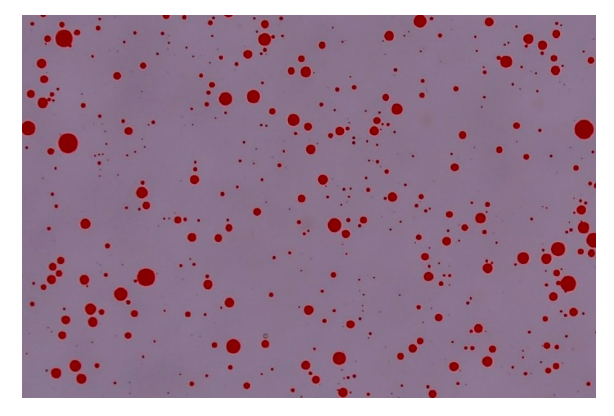 Applsci 10 05221 g006