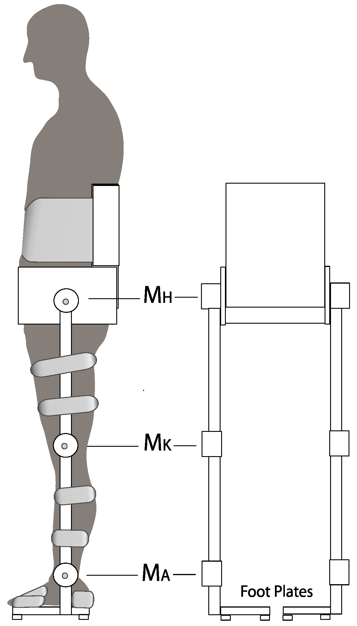 Applsci 10 05240 g001