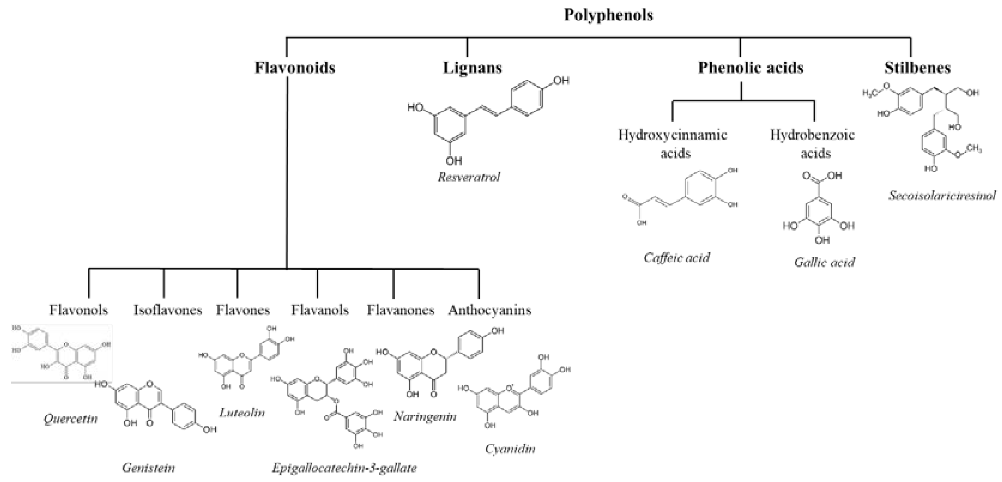 Applsci 10 05305 g001