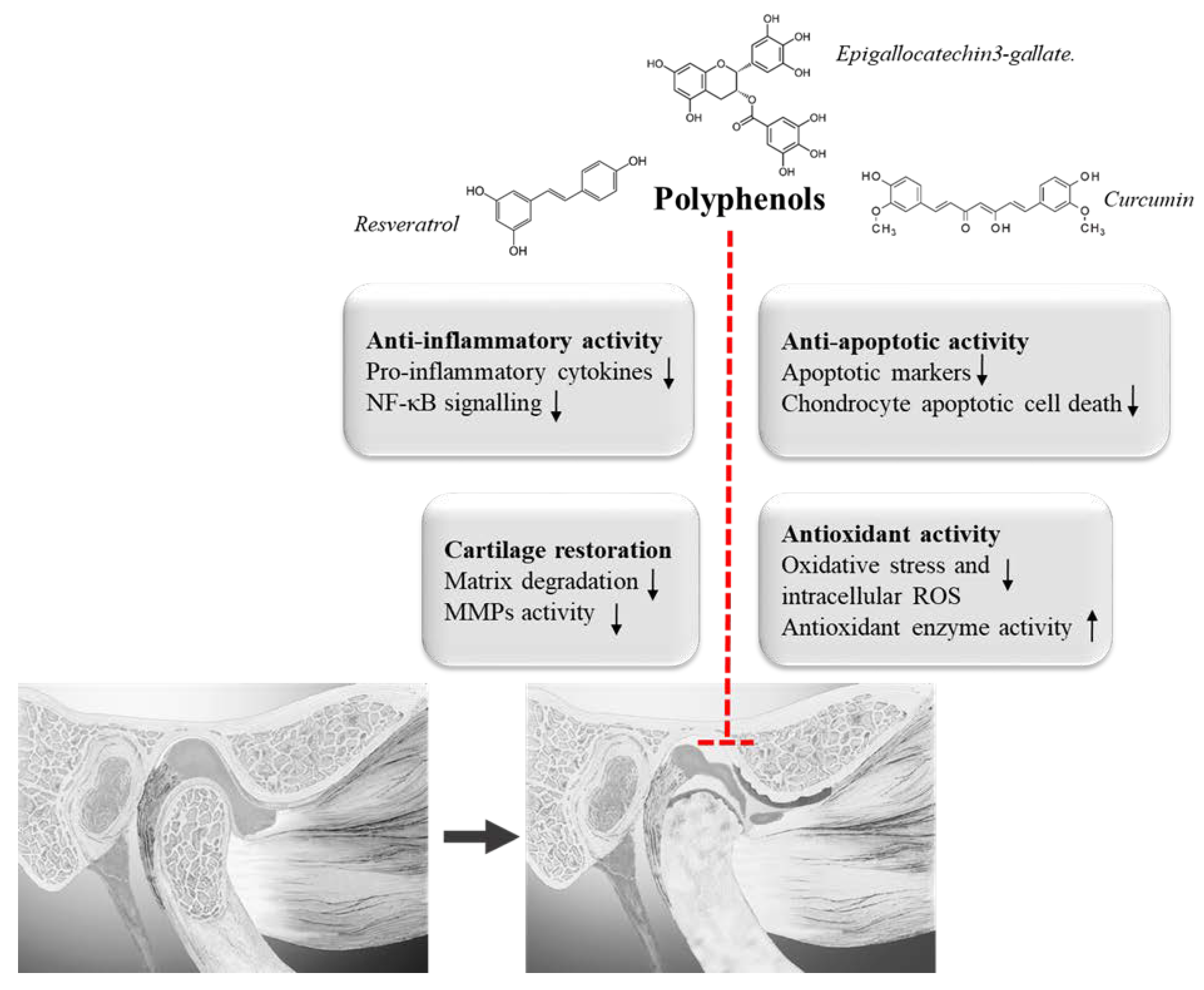 Applsci 10 05305 g002