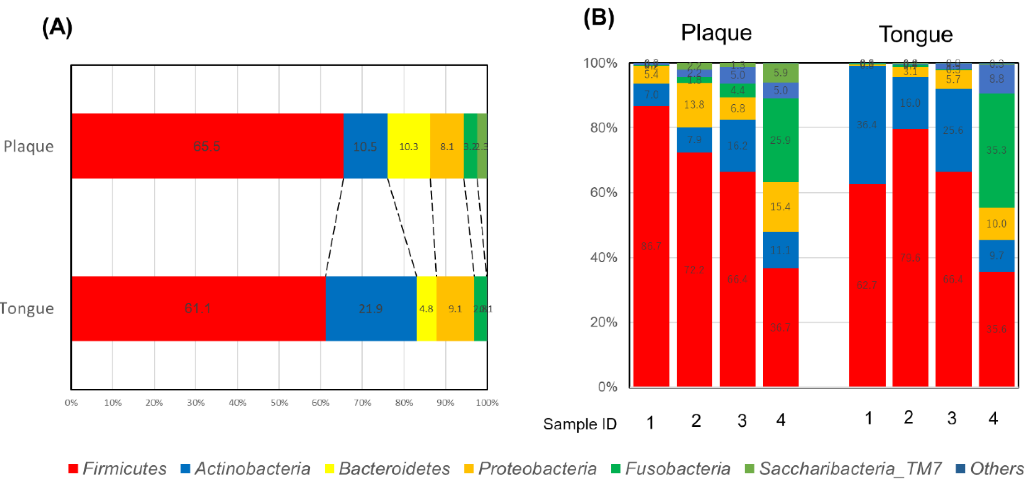 Applsci 10 05312 g001