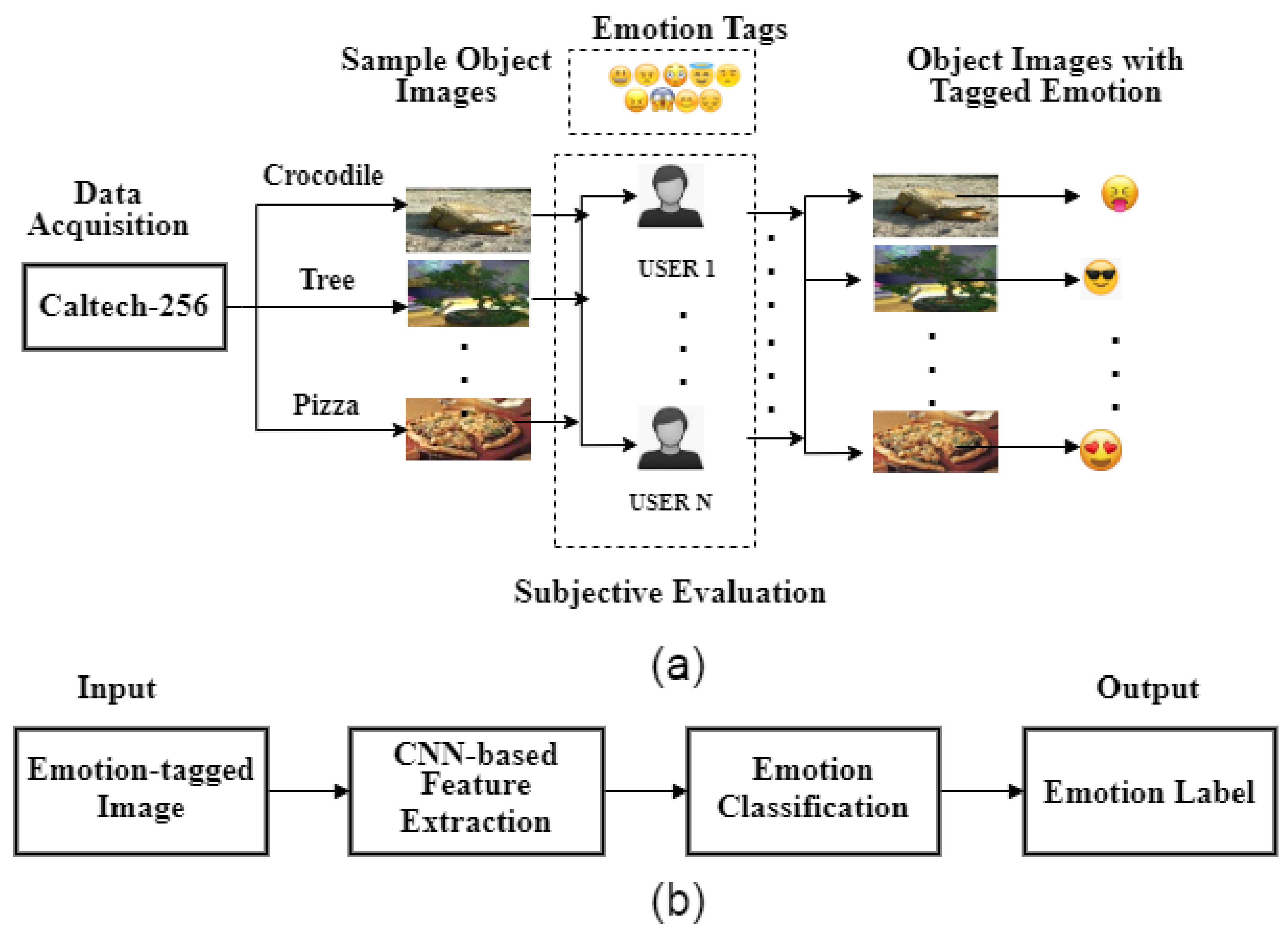 Applsci 10 05333 g002