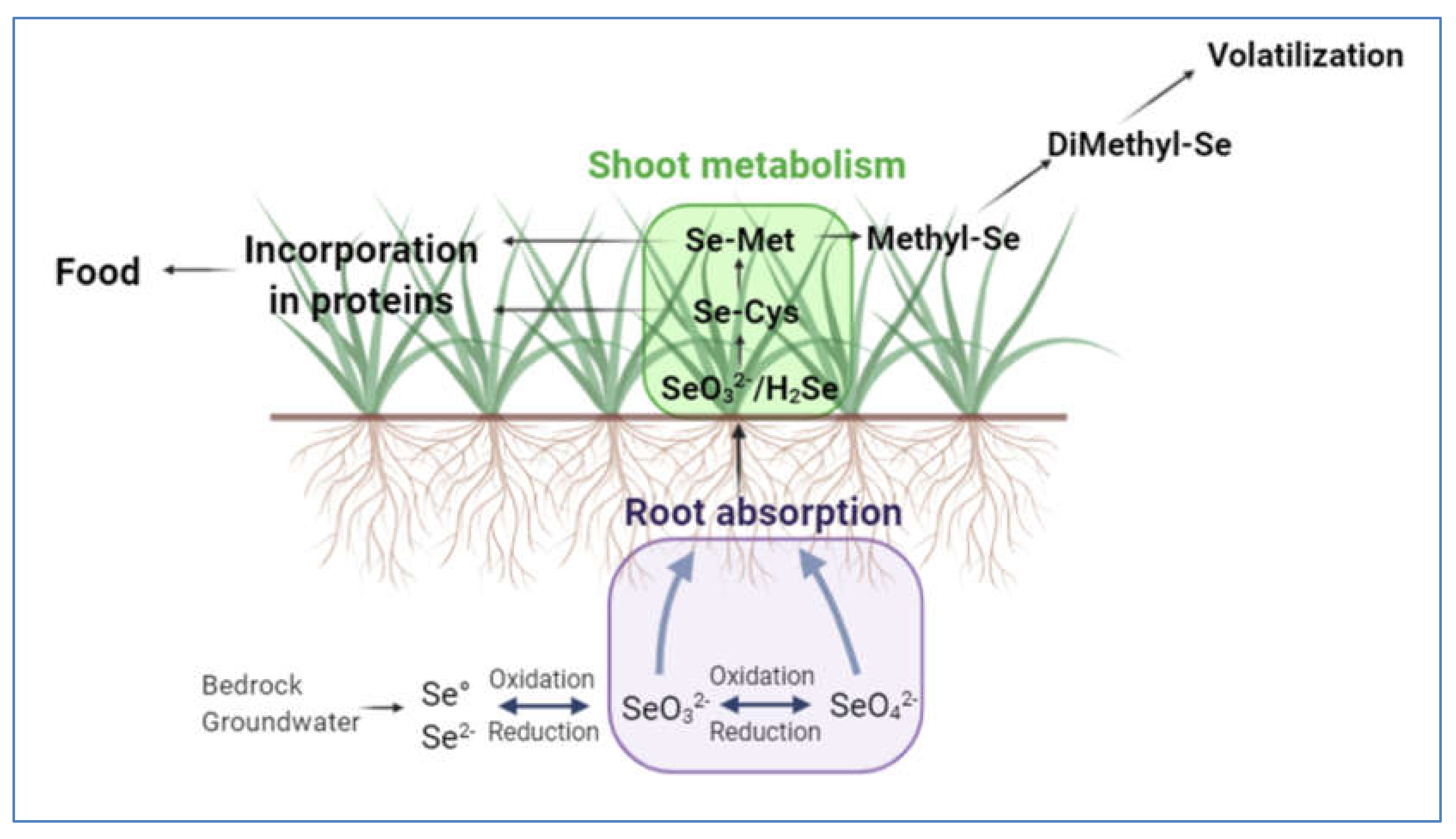 Applsci 10 05368 g001 Applsci 10 05368 g001