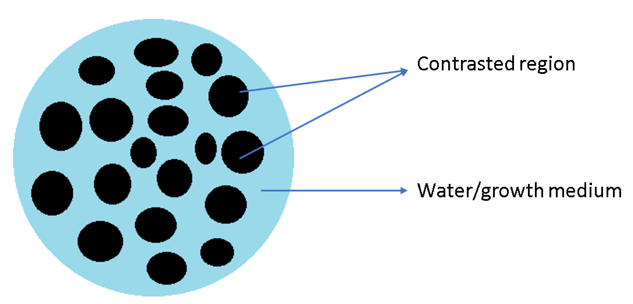 Applsci 10 05435 g002