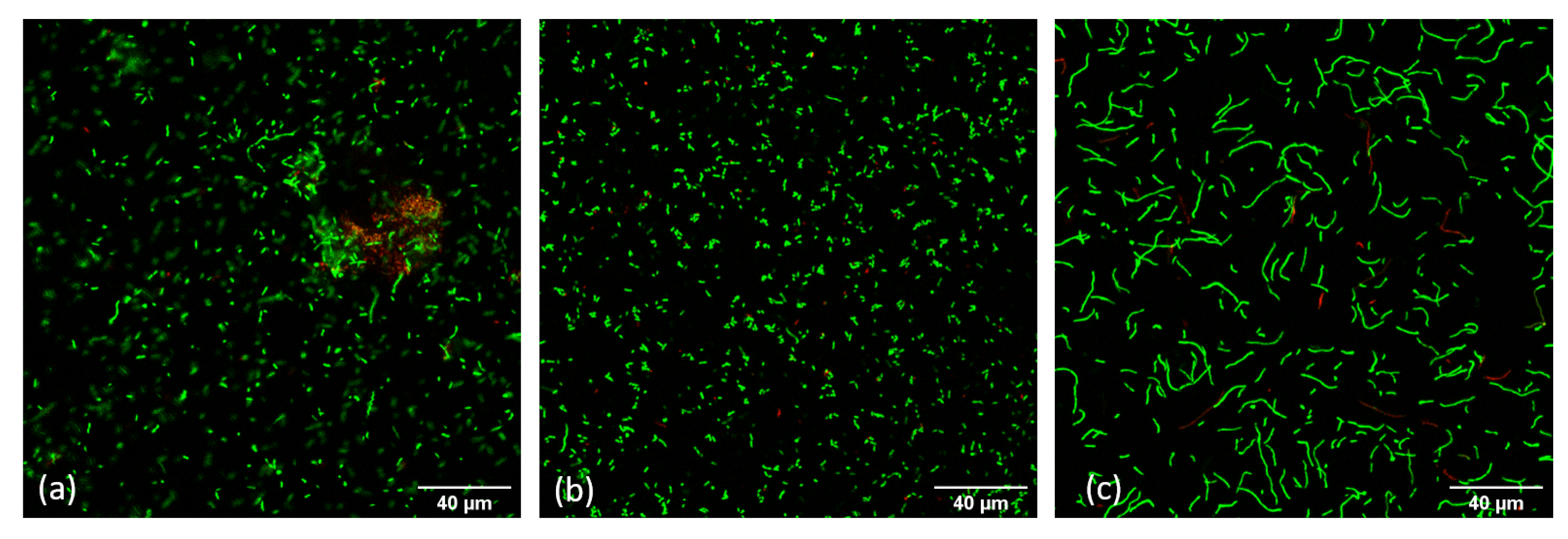 Applsci 10 05435 g006