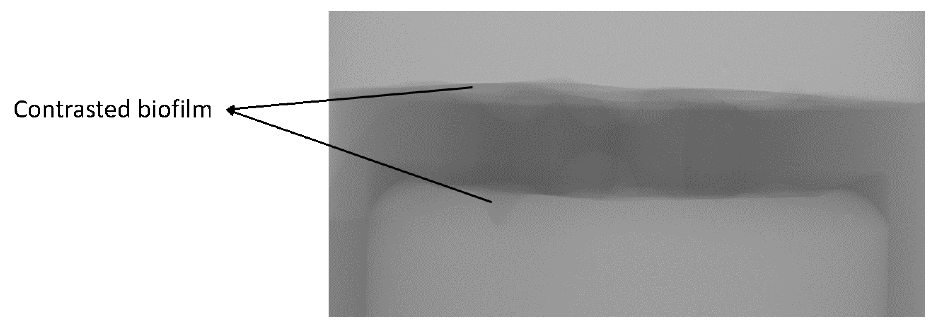 Applsci 10 05435 g011