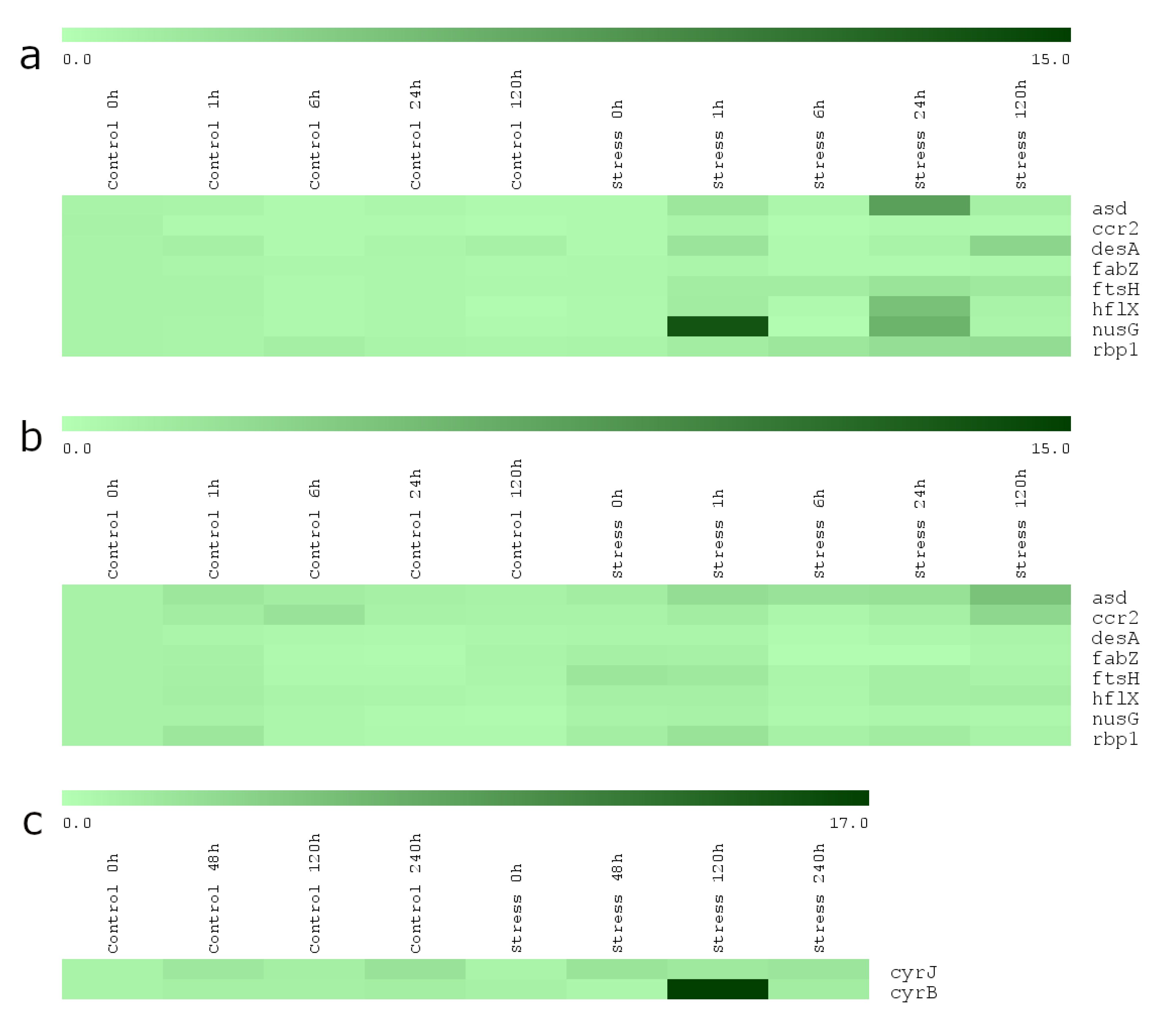 Applsci 10 05437 g002