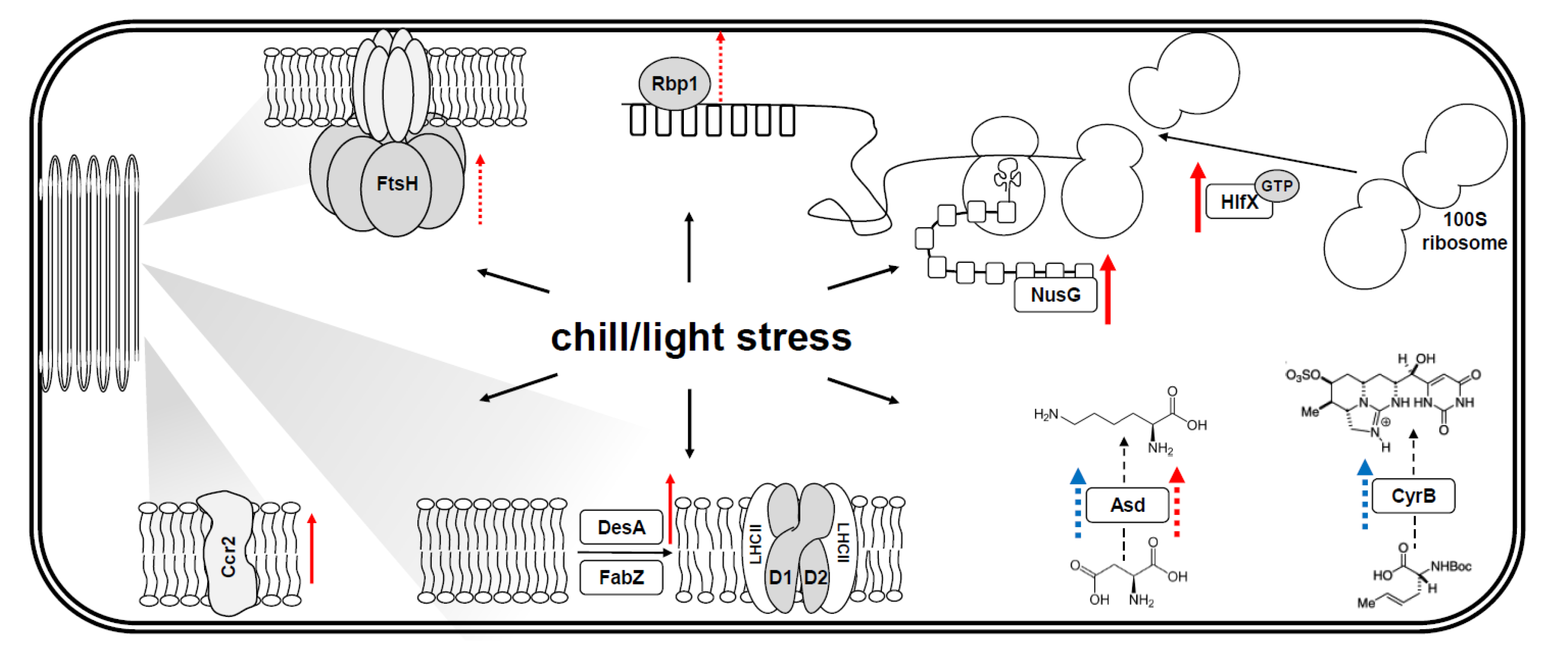 Applsci 10 05437 g005