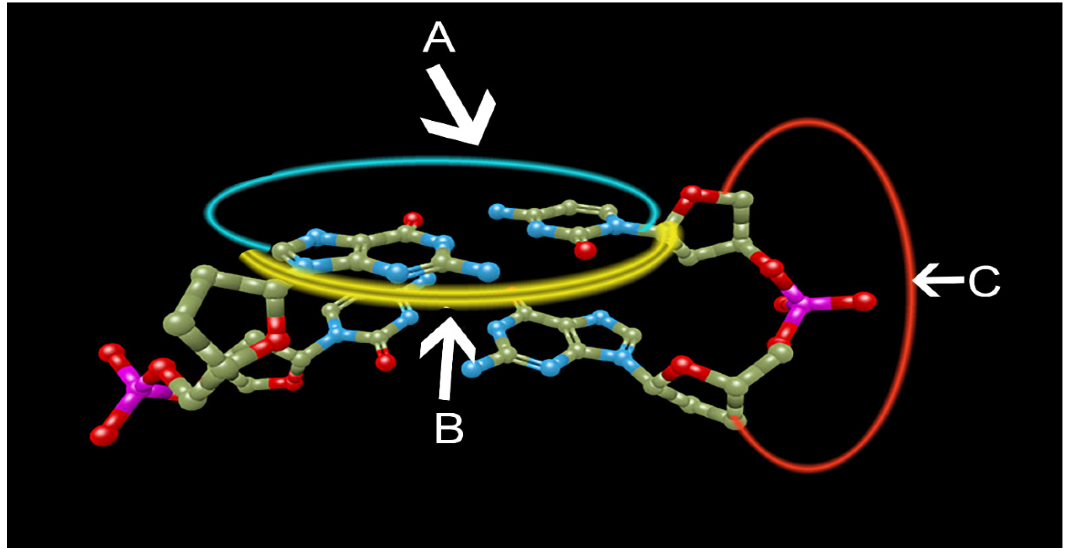 Applsci 10 05438 g005