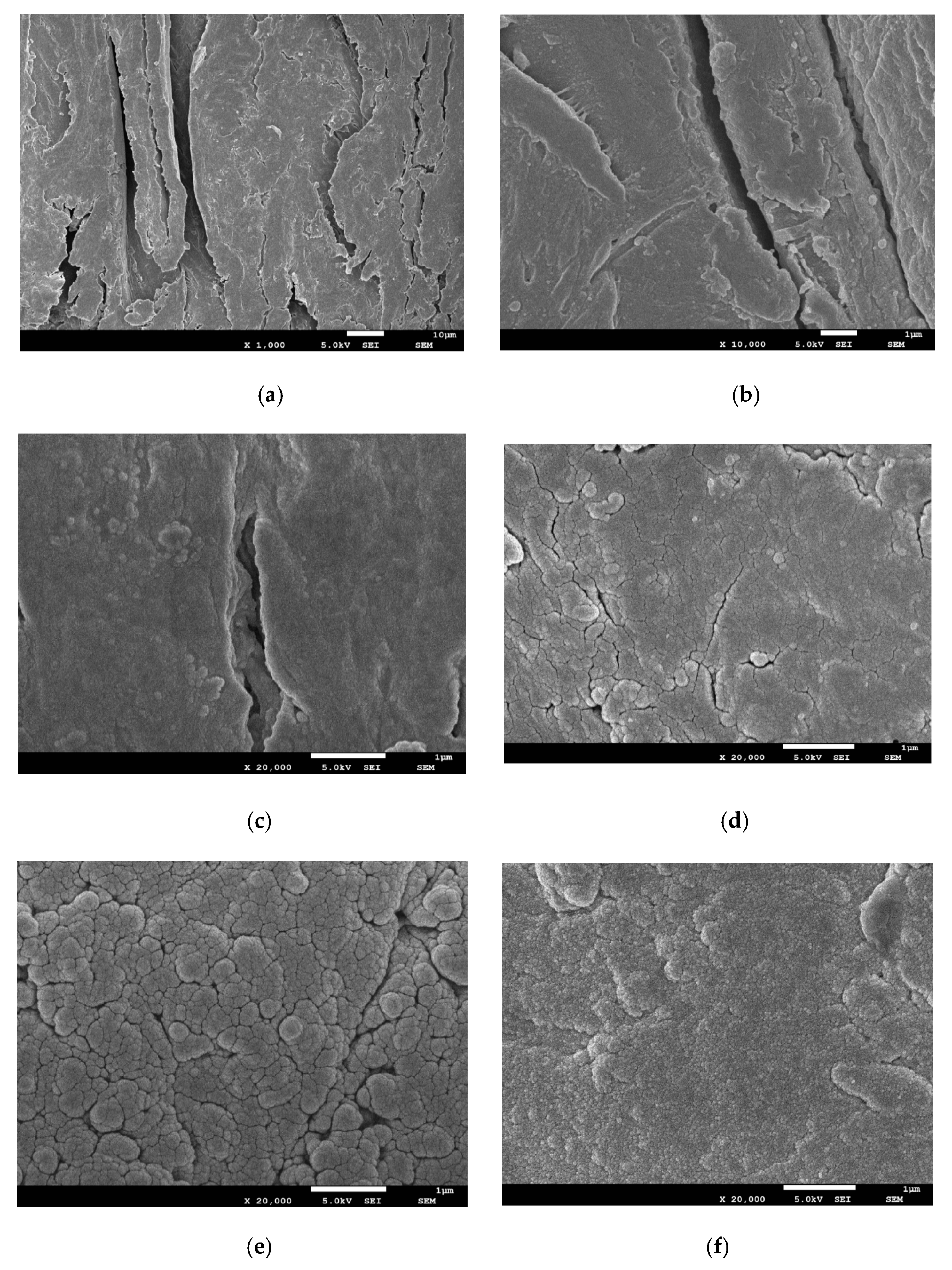 Applsci 10 05448 g007