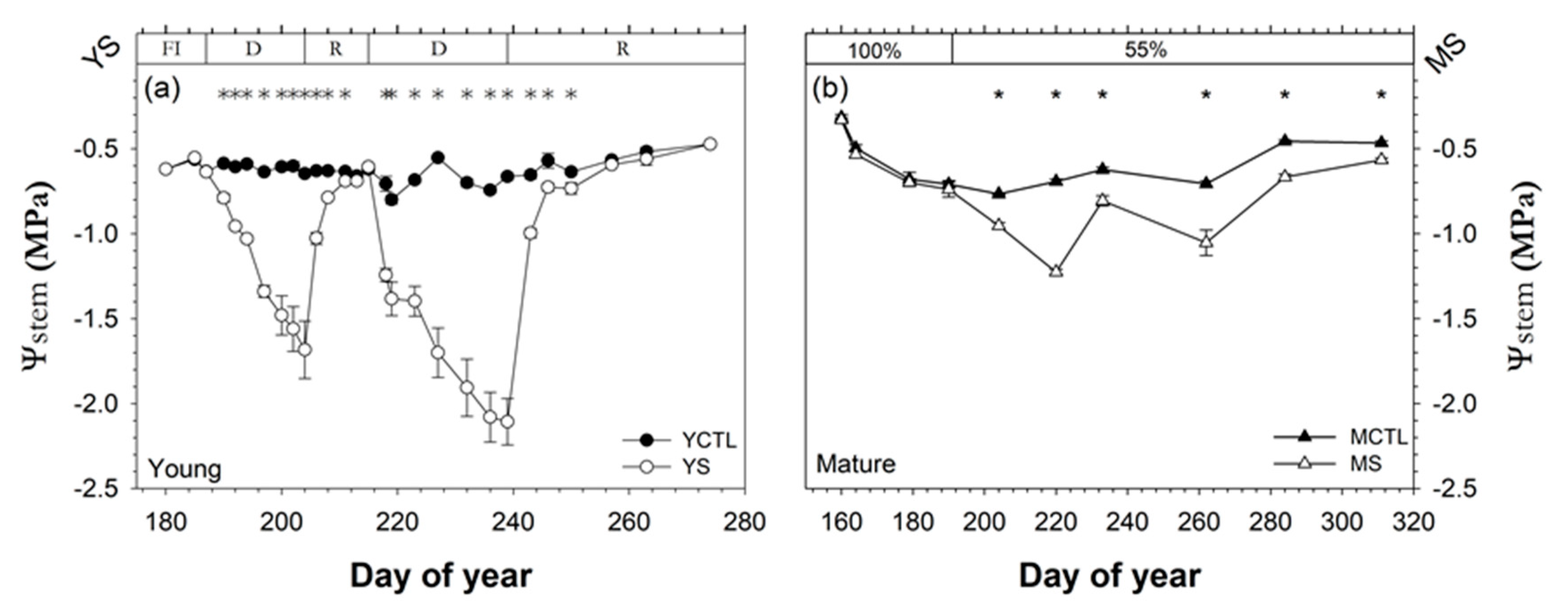 Applsci 10 05461 g002