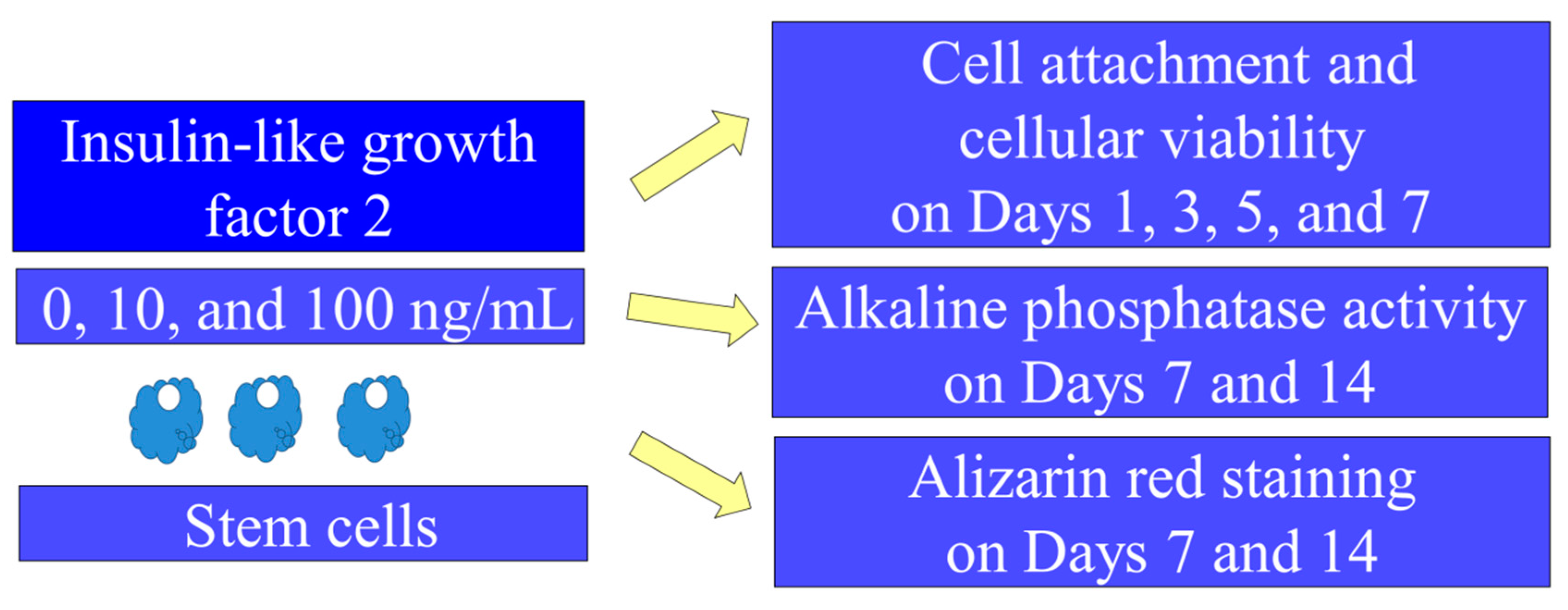 Applsci 10 05471 g001