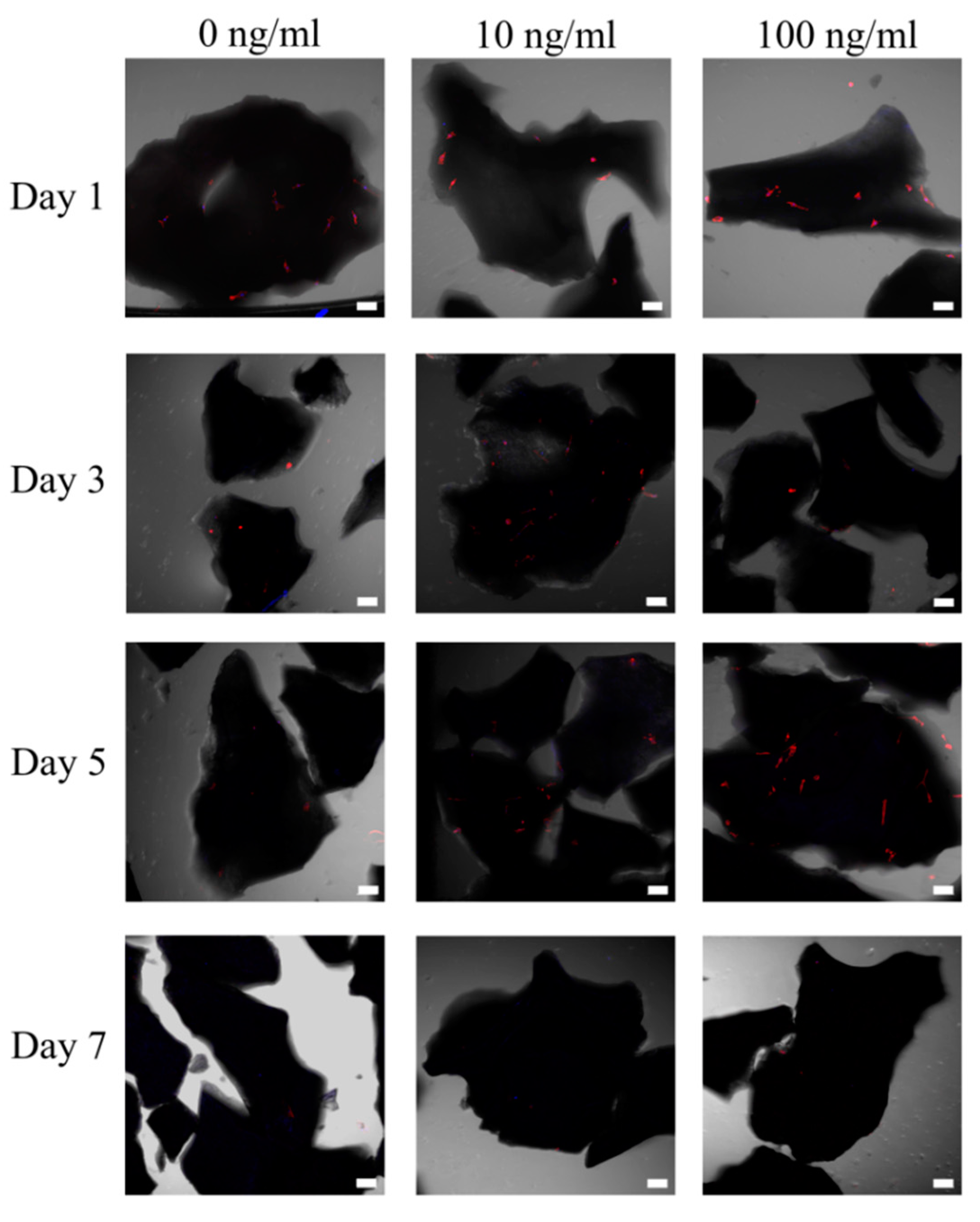 Applsci 10 05471 g002